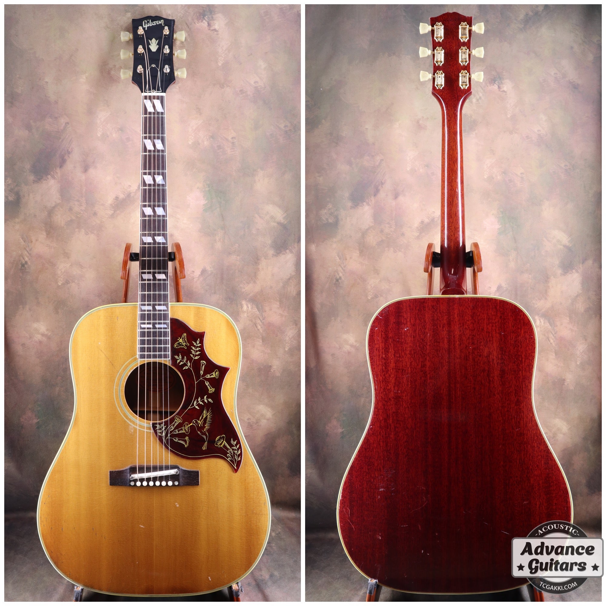 1966年製 Hummingbird - TC楽器 - TCGAKKI