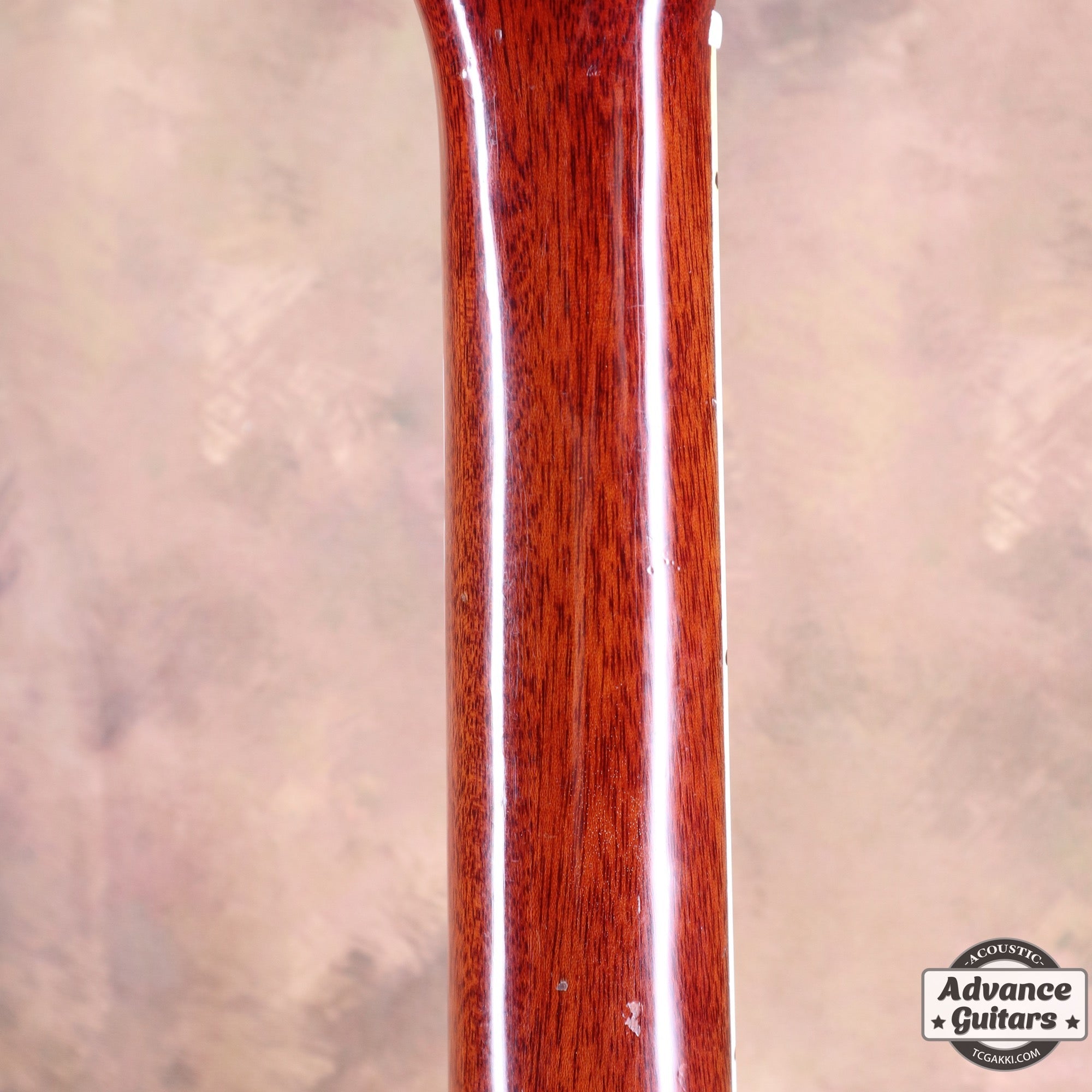 1966年製 Hummingbird - TC楽器 - TCGAKKI