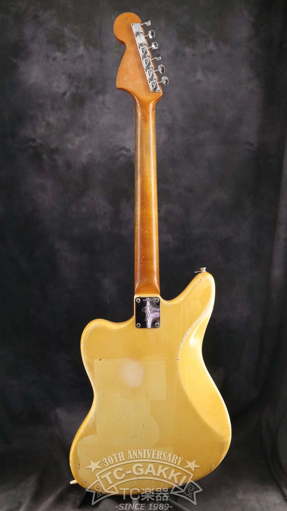 1966 Jaguar Matching Head - TC楽器 - TCGAKKI