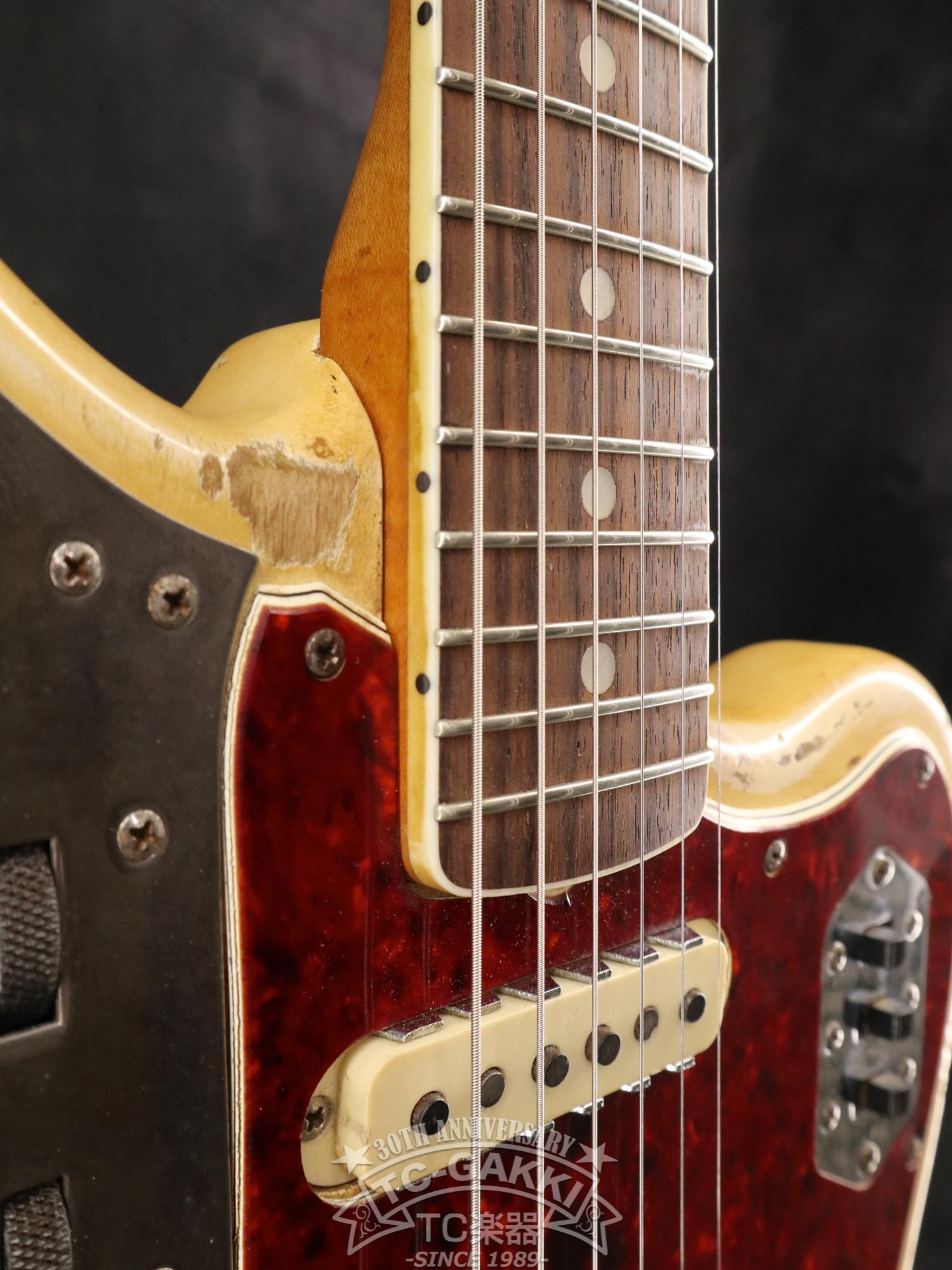 1966 Jaguar Matching Head - TC楽器 - TCGAKKI