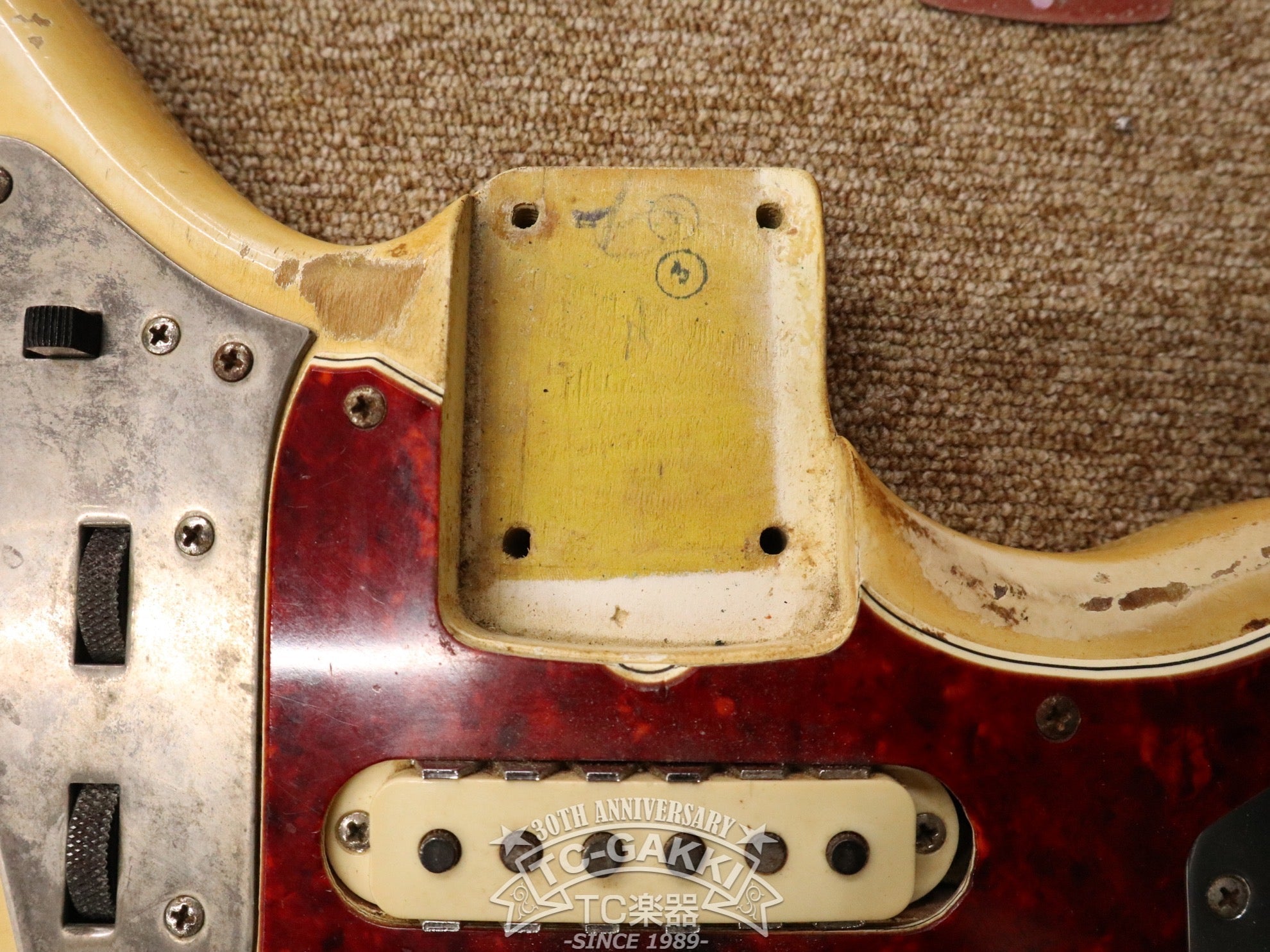 1966 Jaguar Matching Head - TC楽器 - TCGAKKI