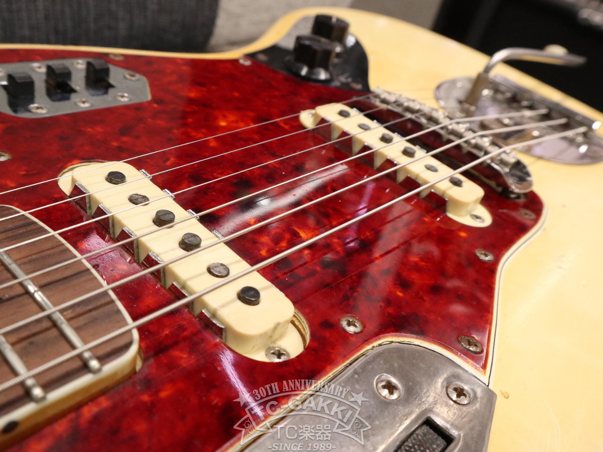 1966 Jaguar Matching Head - TC楽器 - TCGAKKI