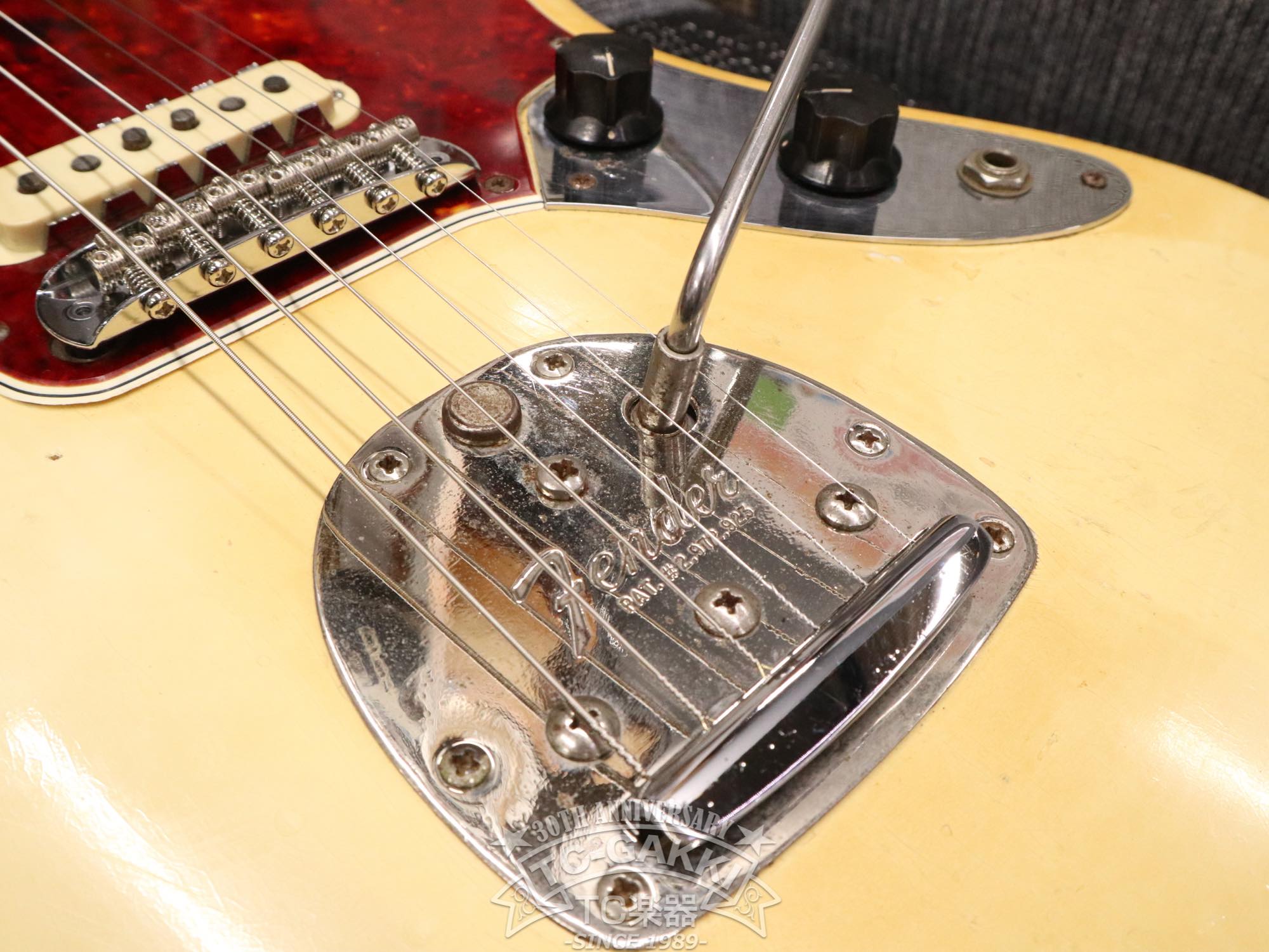 1966 Jaguar Matching Head - TC楽器 - TCGAKKI