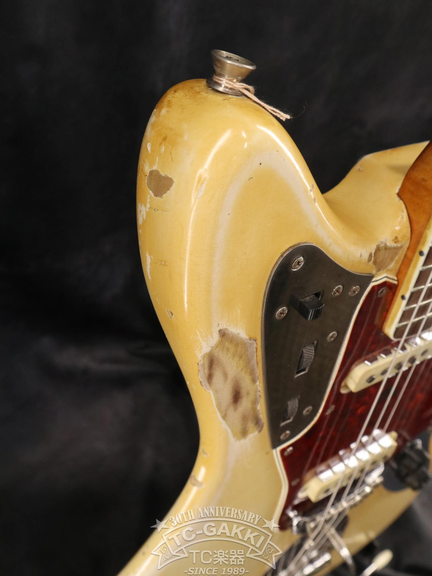 1966 Jaguar Matching Head - TC楽器 - TCGAKKI