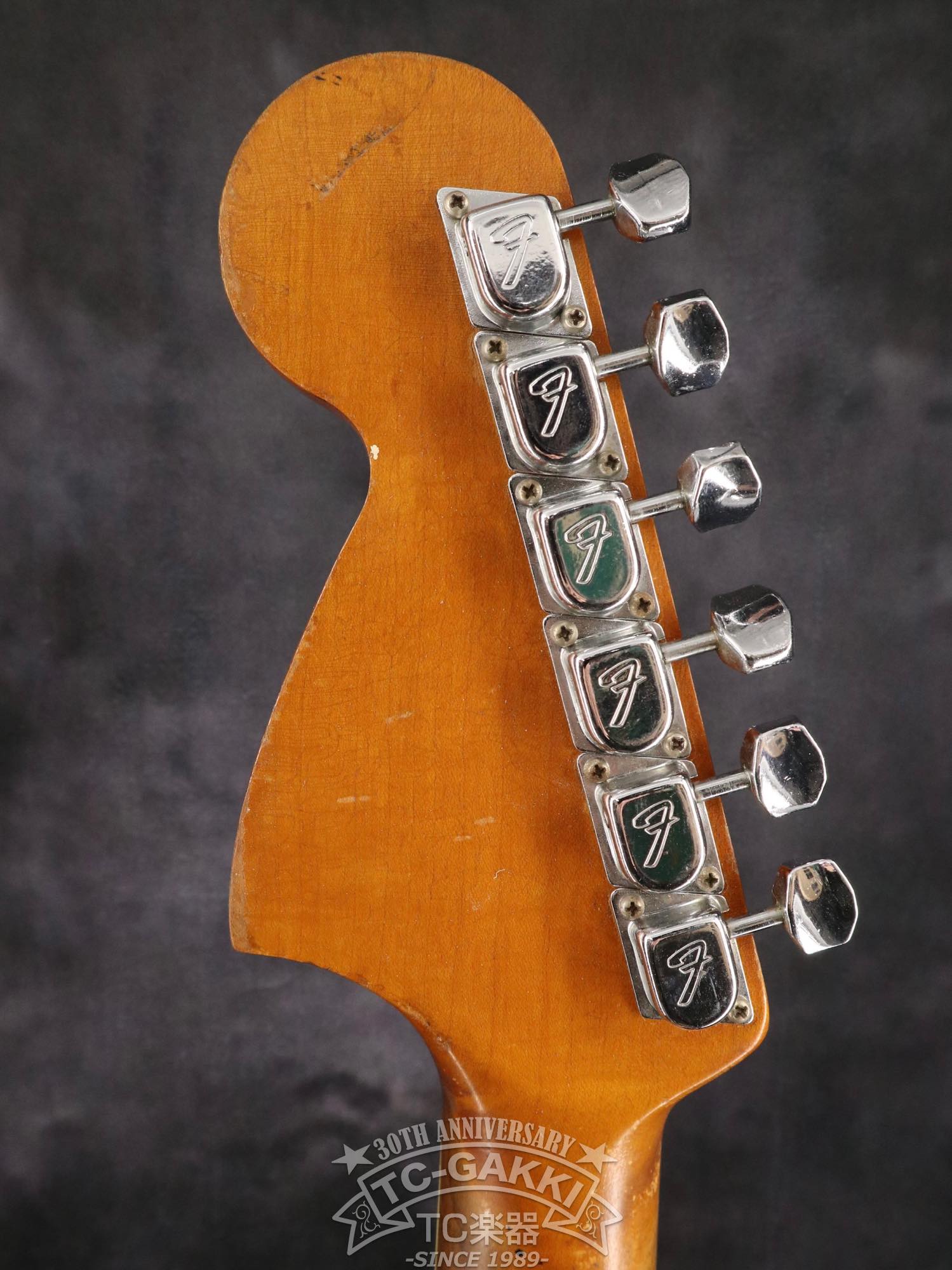 1966 Jaguar Matching Head - TC楽器 - TCGAKKI