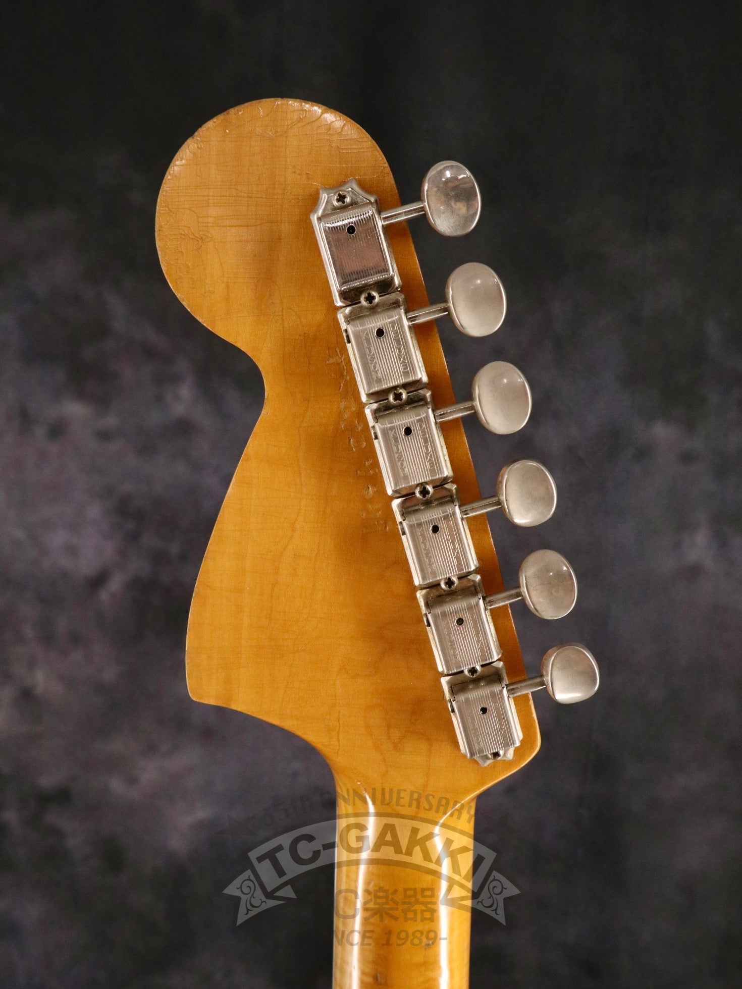 1966 JAZZMASTER Bind / Block - TC楽器 - TCGAKKI