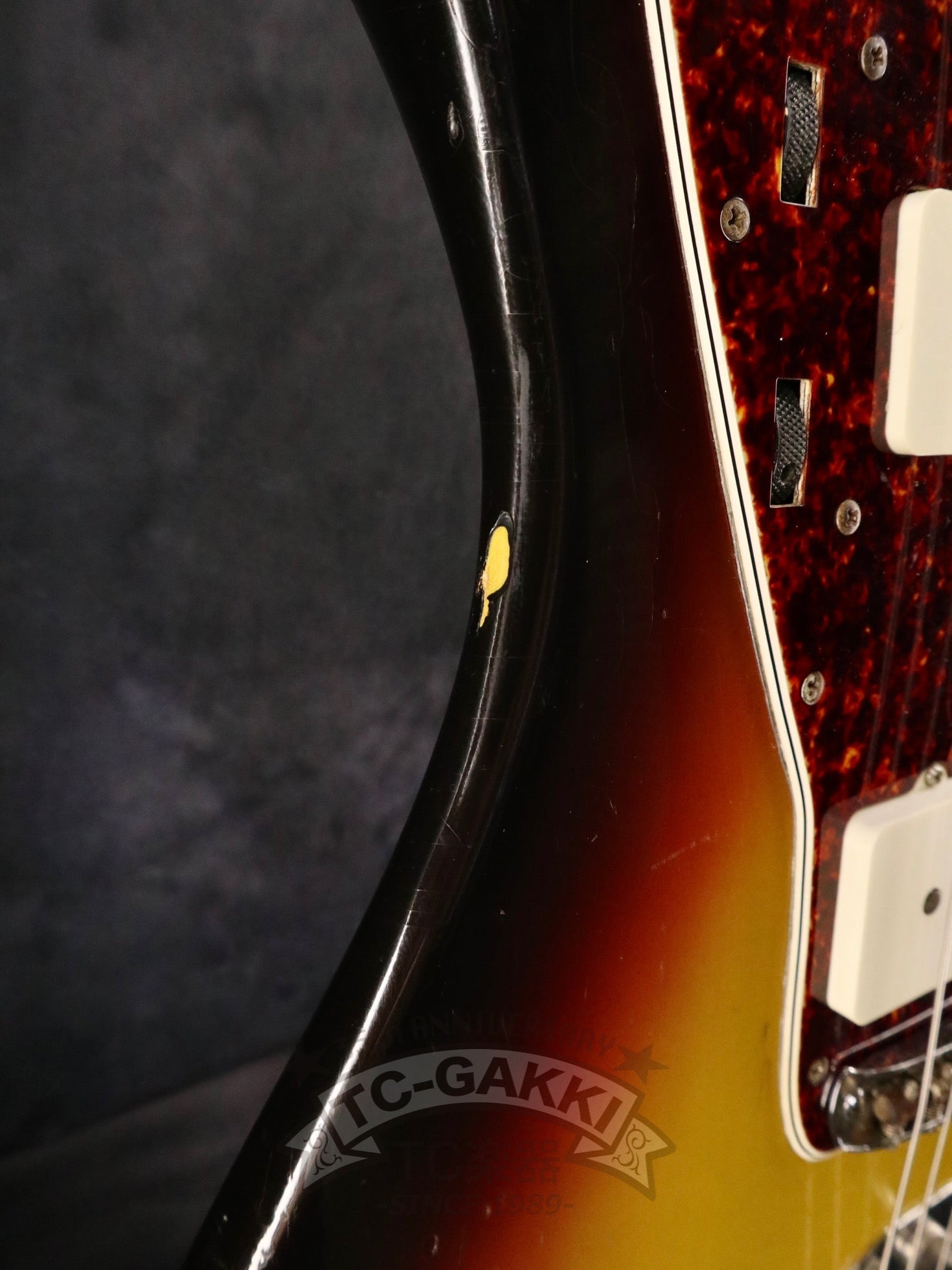 1966 JAZZMASTER Bind / Block - TC楽器 - TCGAKKI