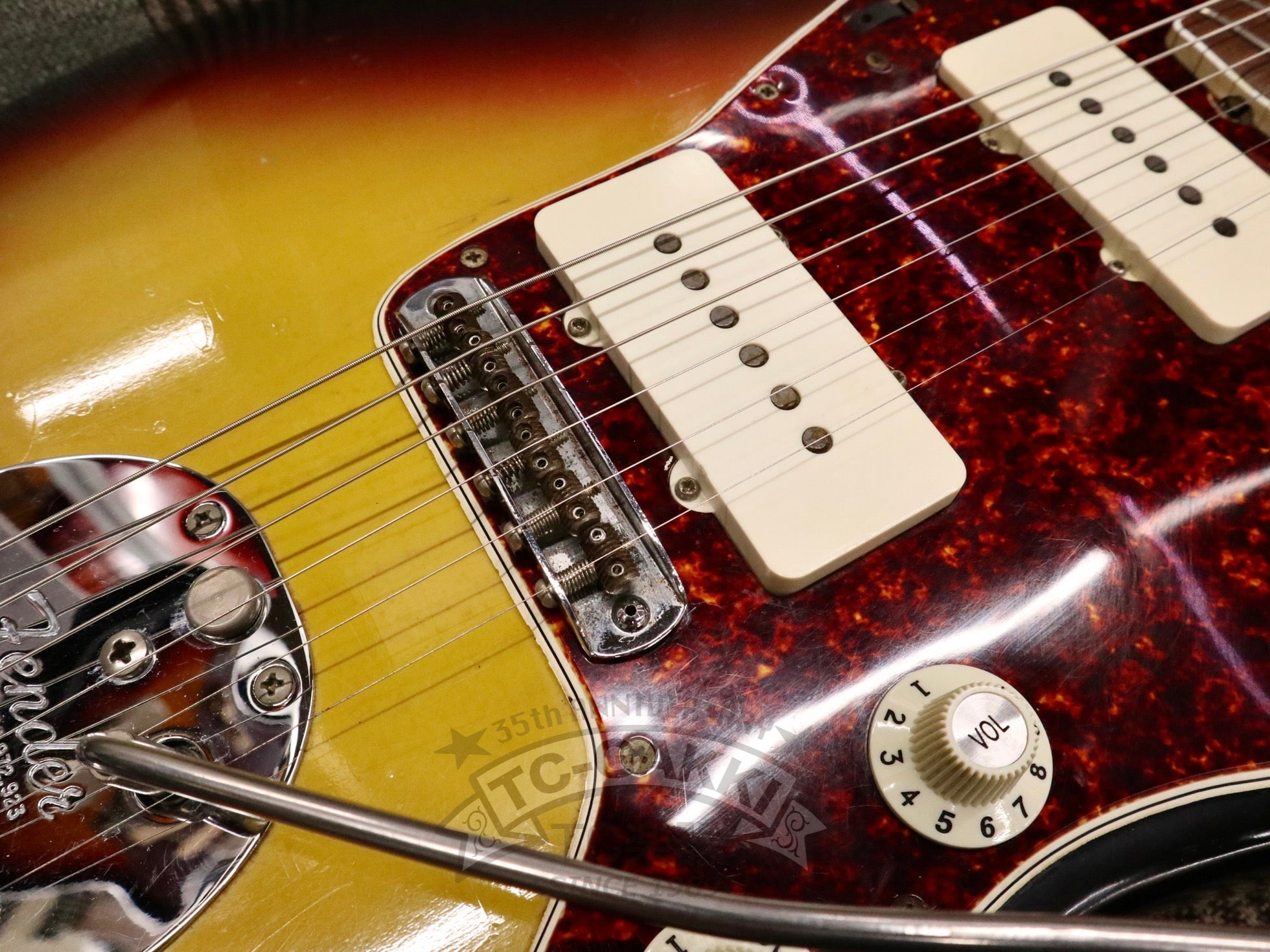 1966 JAZZMASTER Bind / Block - TC楽器 - TCGAKKI