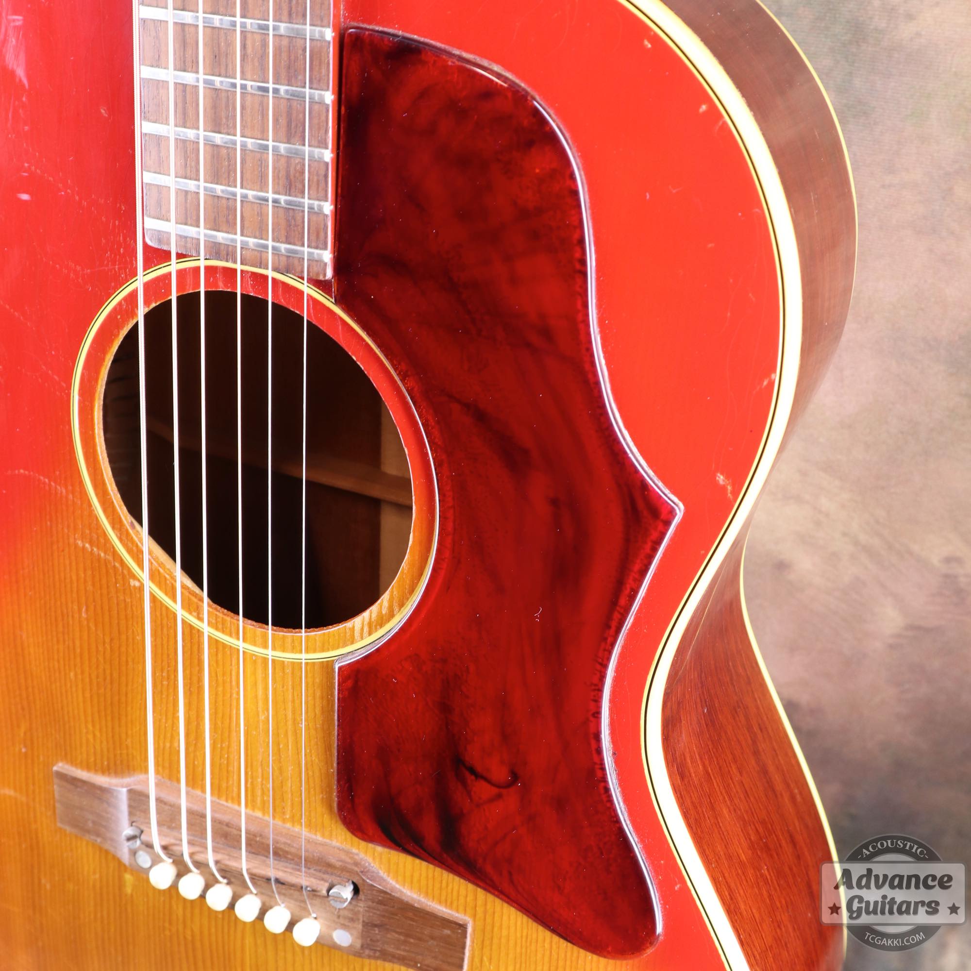 1967年製 B - 25 - TC楽器 - TCGAKKI