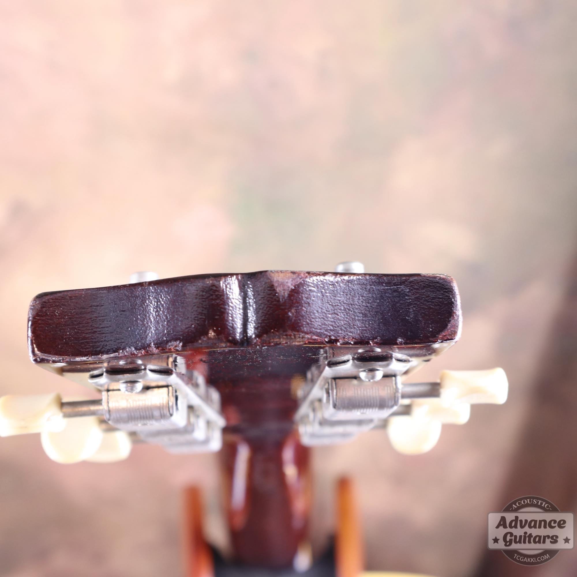 1967年製 B - 25 - TC楽器 - TCGAKKI