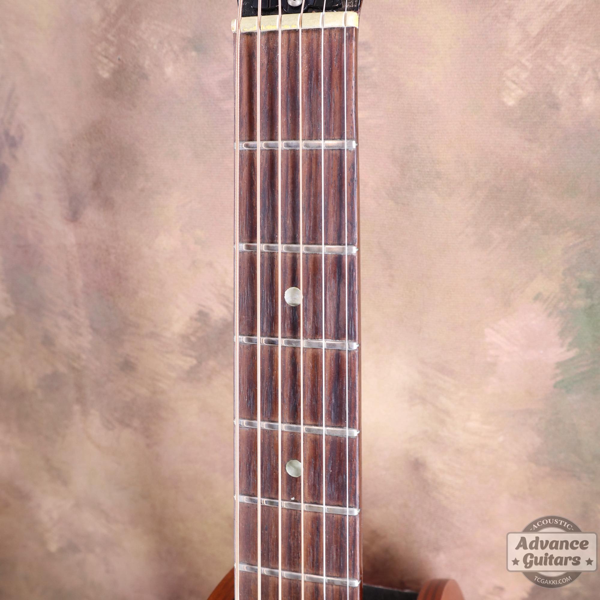 1967年製 B - 25 - TC楽器 - TCGAKKI