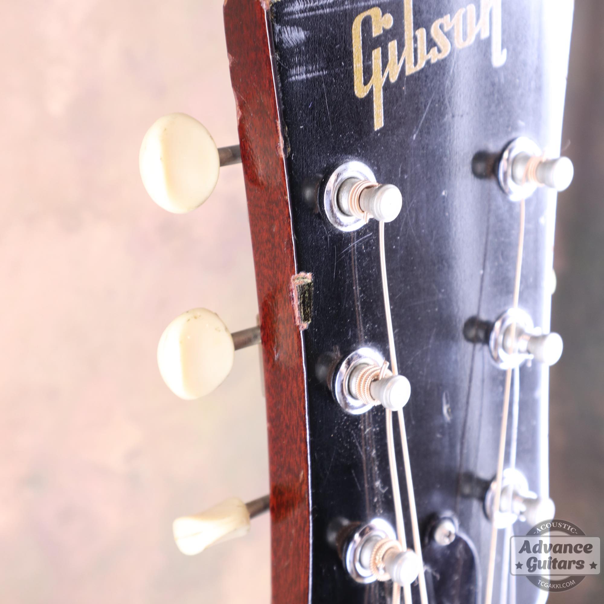 1967年製 B - 25 - TC楽器 - TCGAKKI