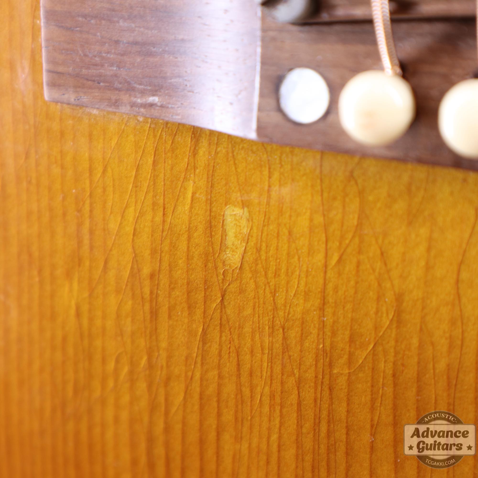 1967年製 B - 25 - TC楽器 - TCGAKKI