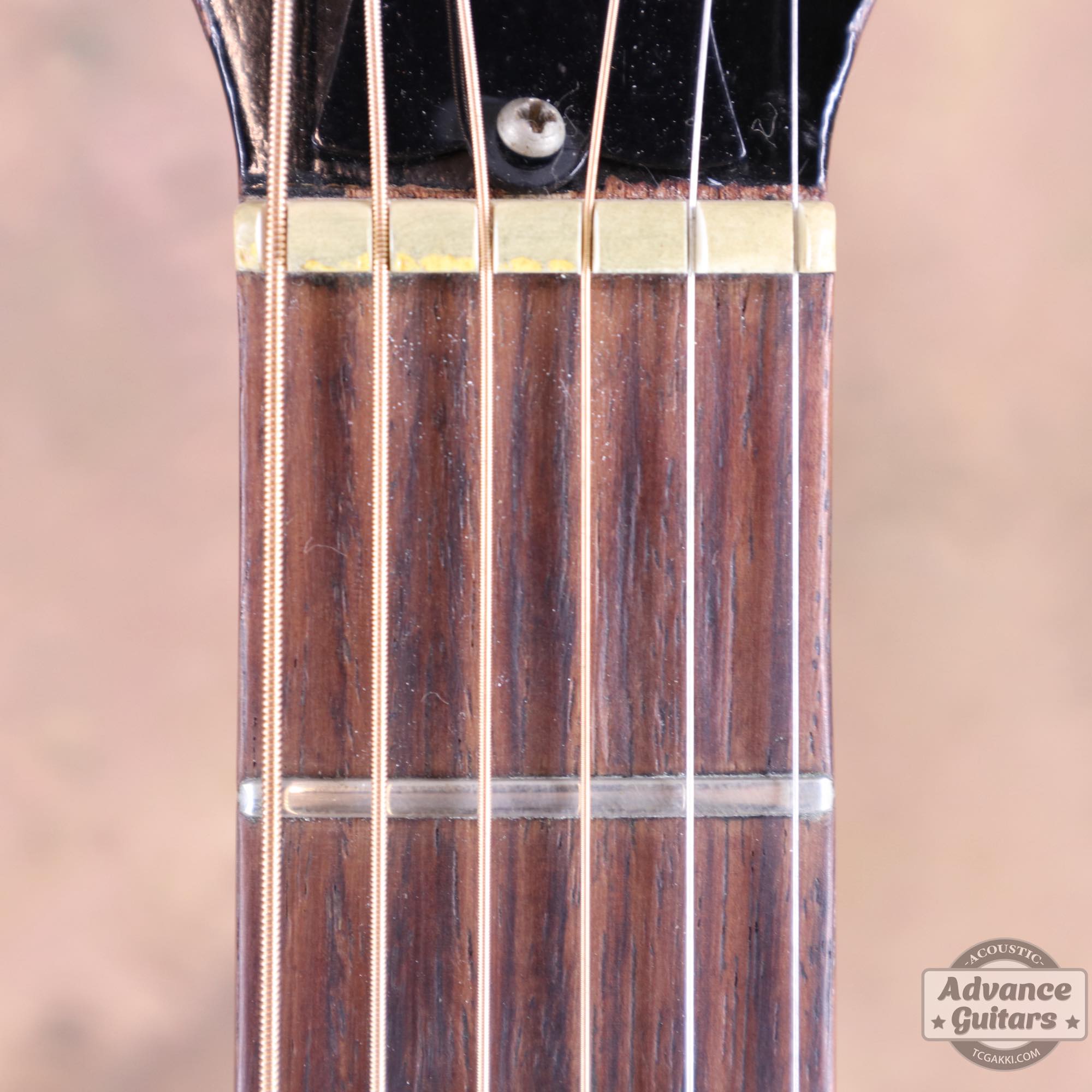 1967年製 B - 25 - TC楽器 - TCGAKKI