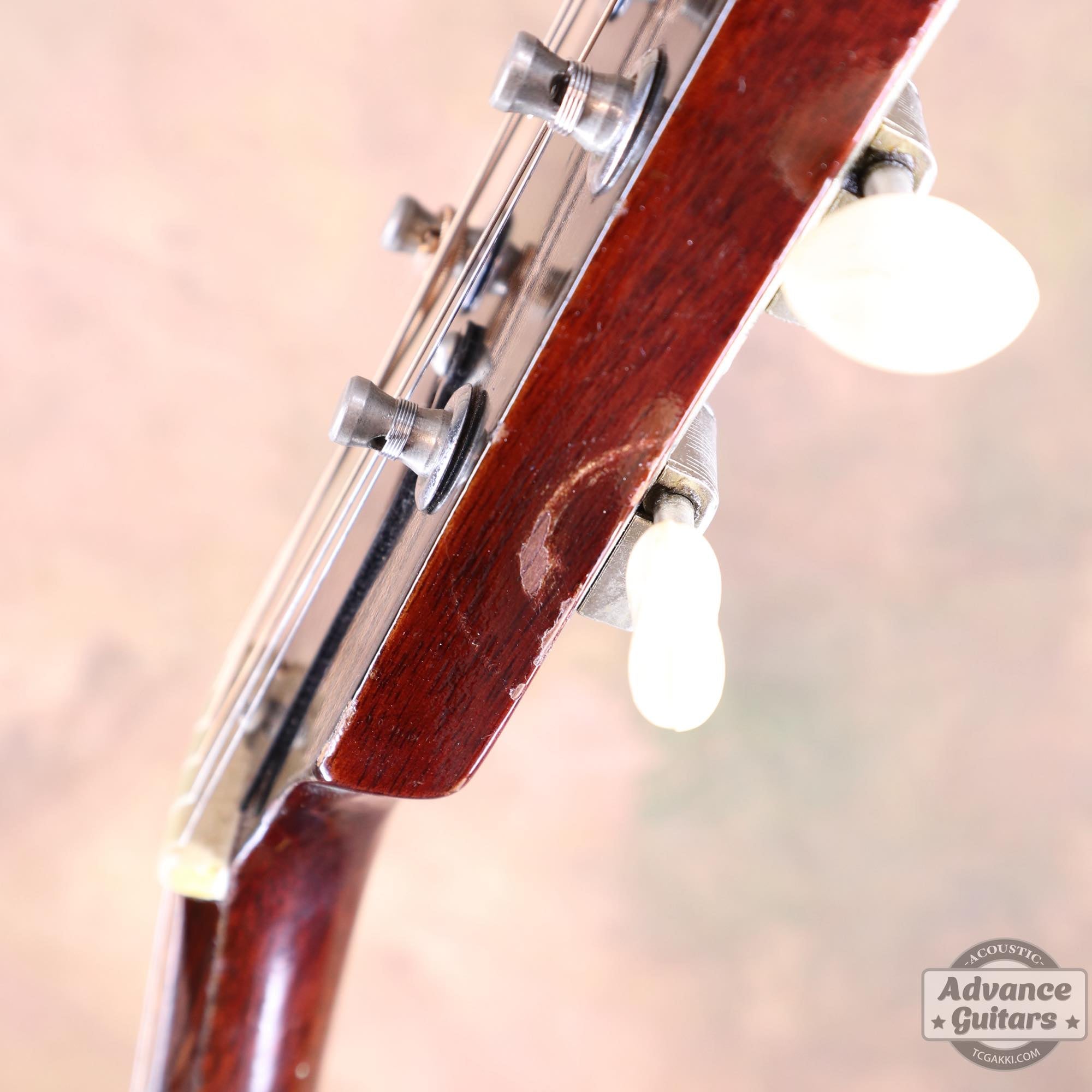 1967年製 B - 25 - TC楽器 - TCGAKKI