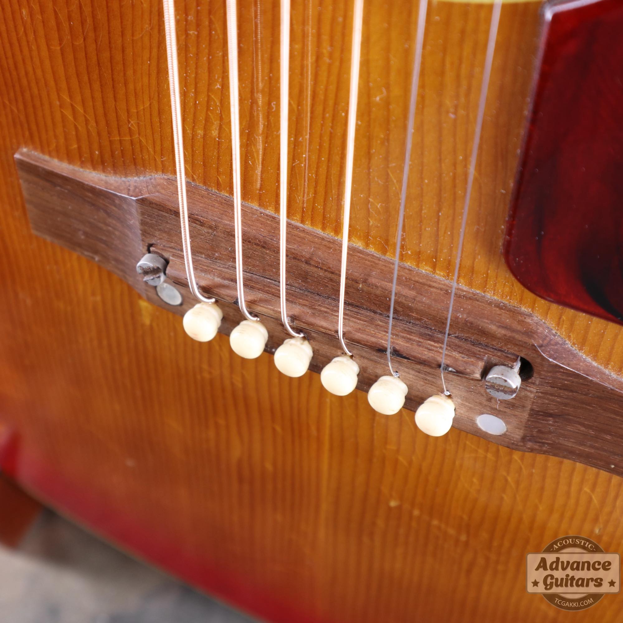 1967年製 B - 25 - TC楽器 - TCGAKKI