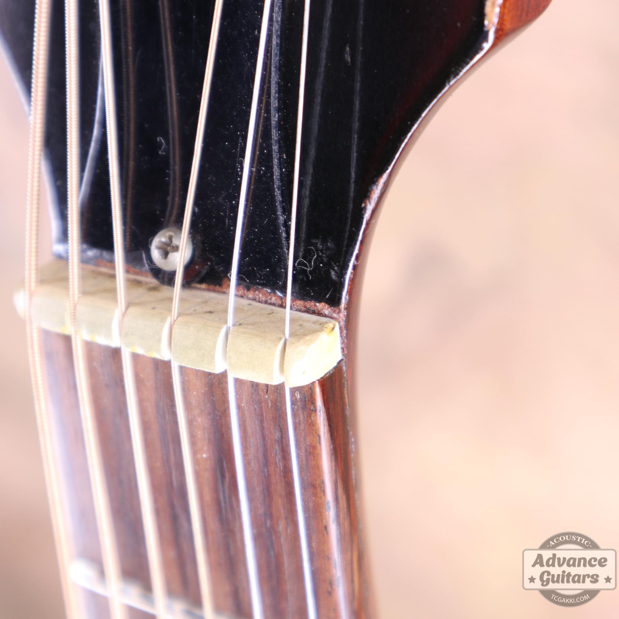 1967年製 B - 25 - TC楽器 - TCGAKKI