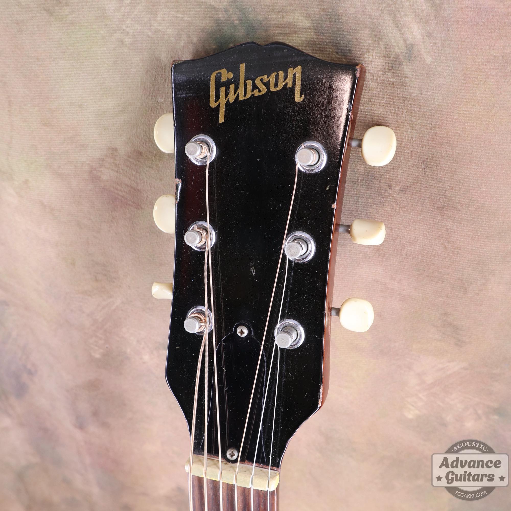 1967年製 B - 25 - TC楽器 - TCGAKKI