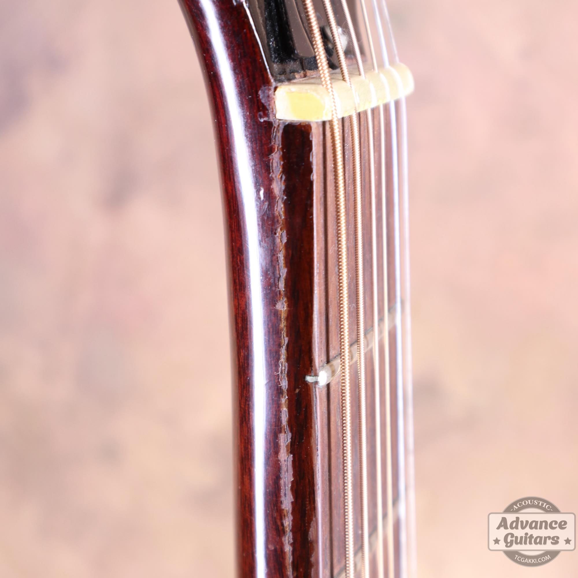 1967年製 B - 25 - TC楽器 - TCGAKKI