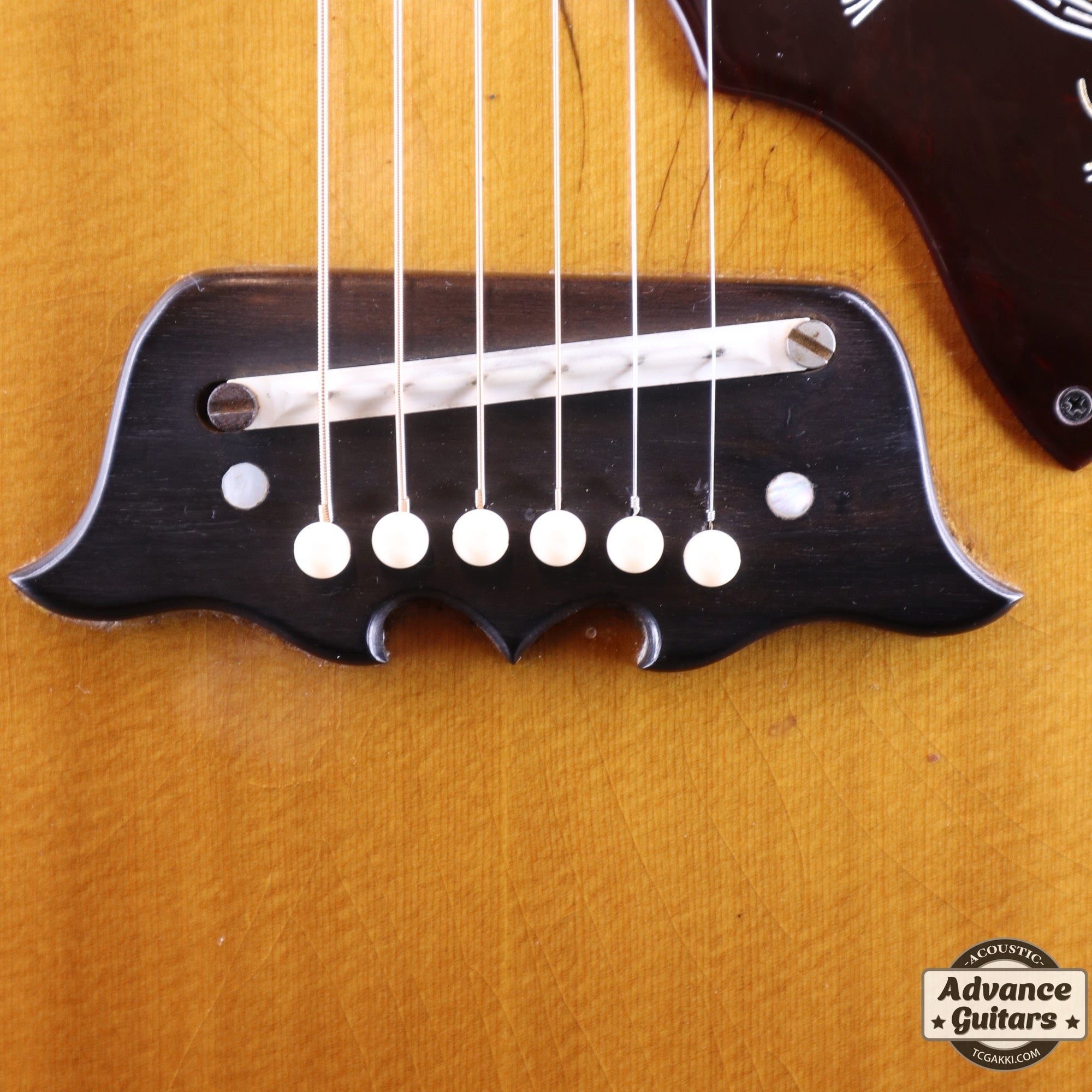 1967年製 FT - 120 Excellente - TC楽器 - TCGAKKI