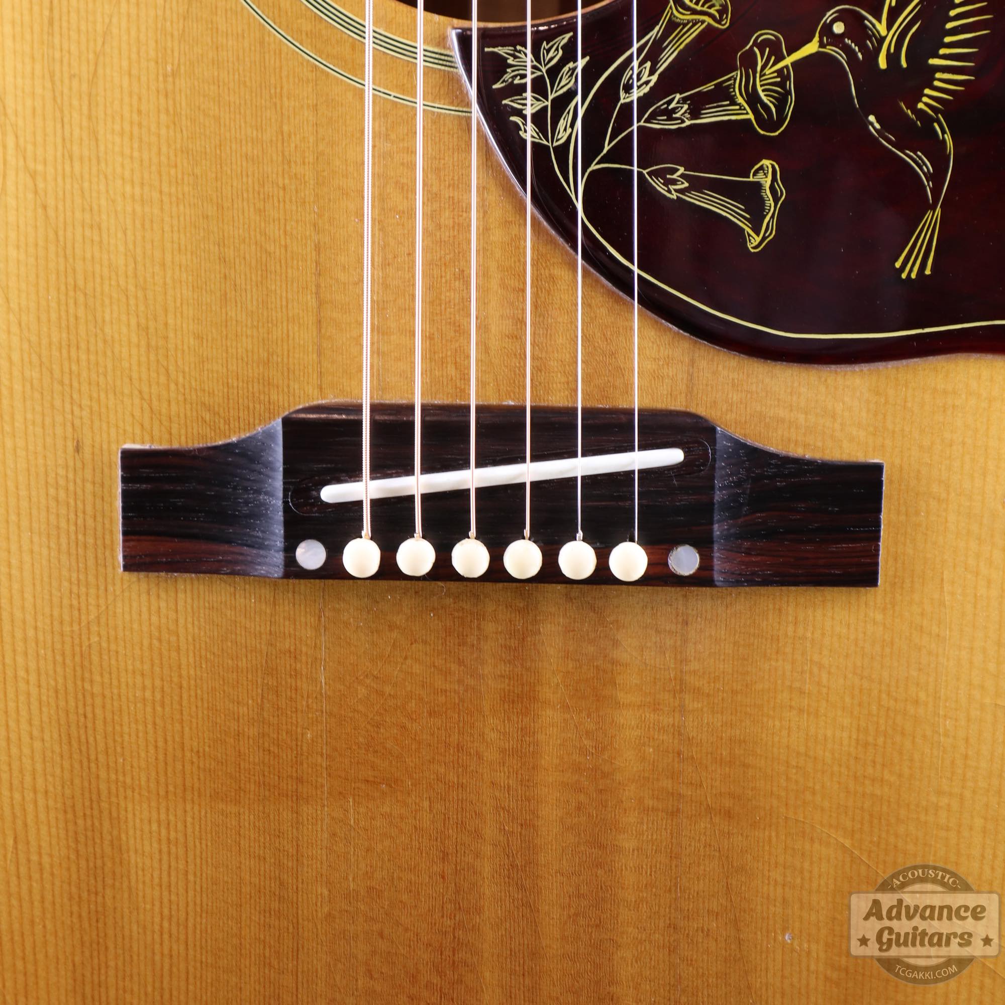 1967年製 Hummingbird Natural - TC楽器 - TCGAKKI