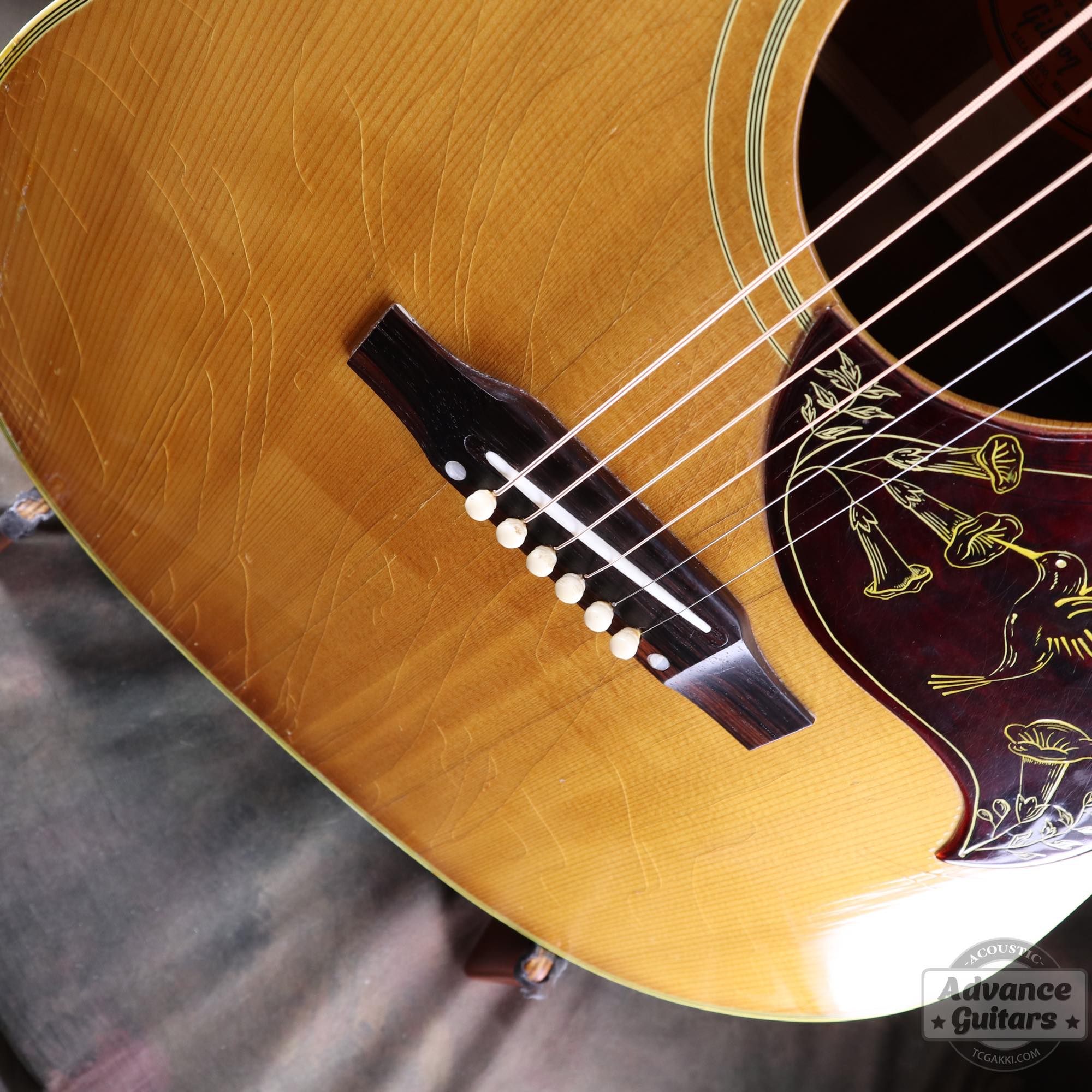 1967年製 Hummingbird Natural - TC楽器 - TCGAKKI