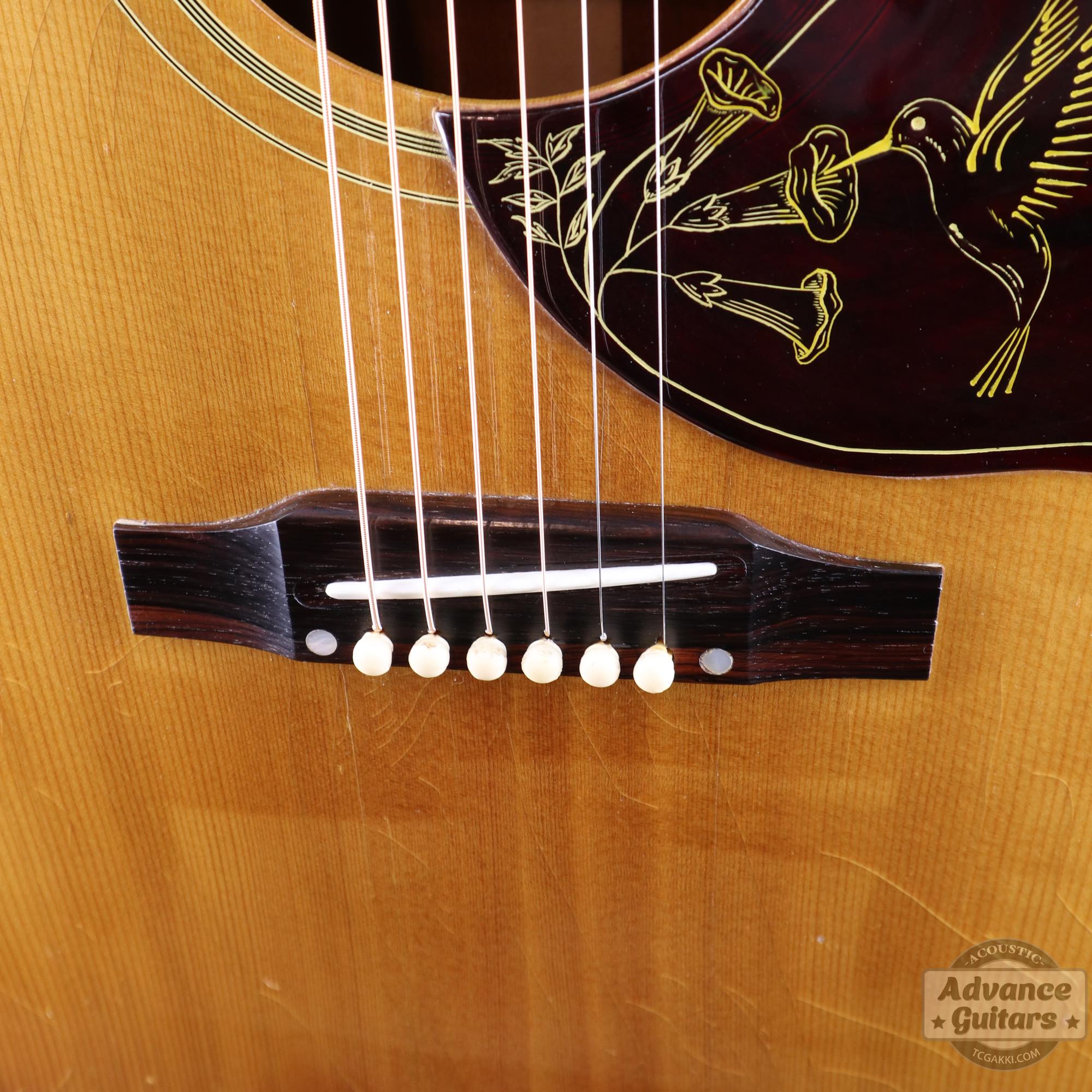 1967年製 Hummingbird Natural - TC楽器 - TCGAKKI