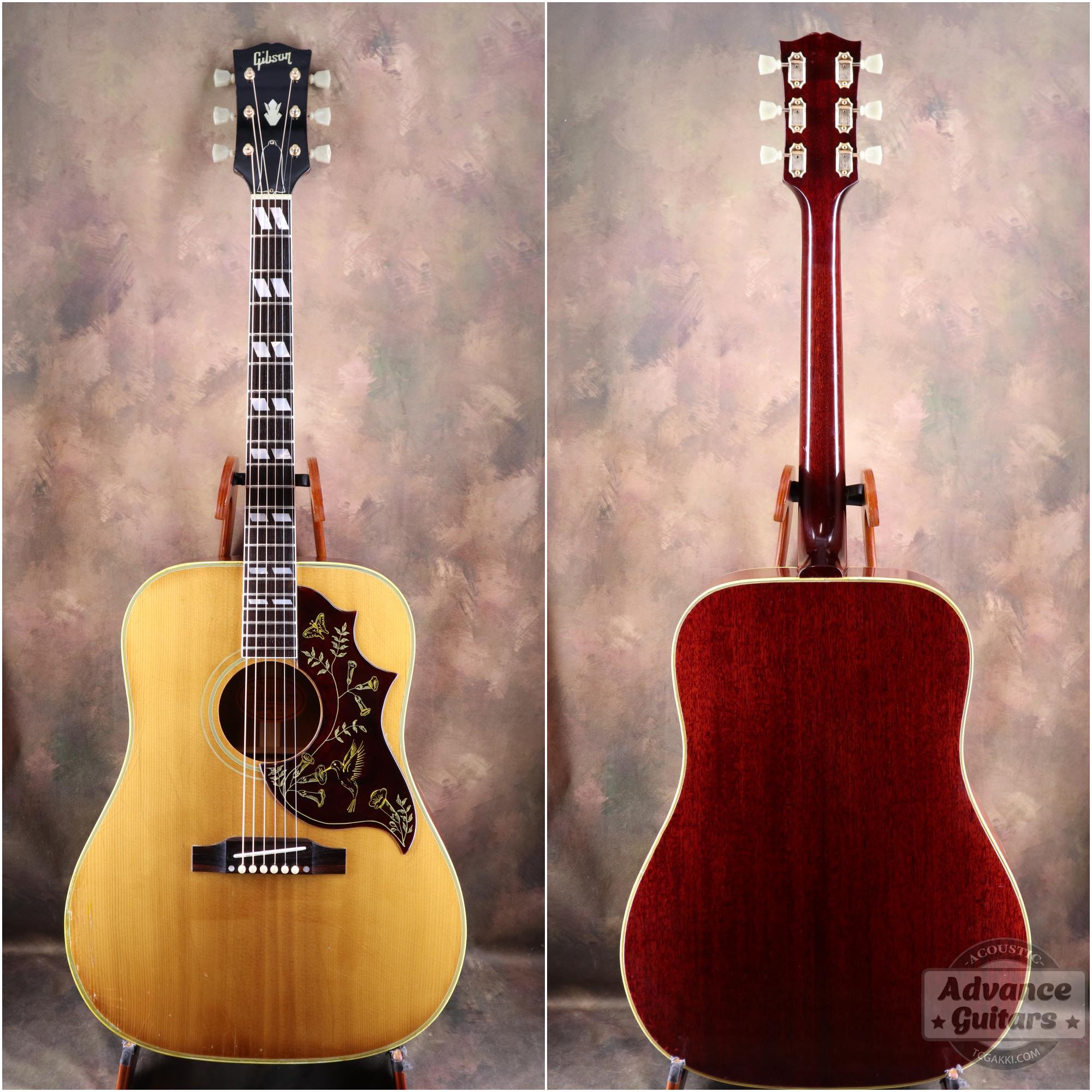 1967年製 Hummingbird Natural - TC楽器 - TCGAKKI