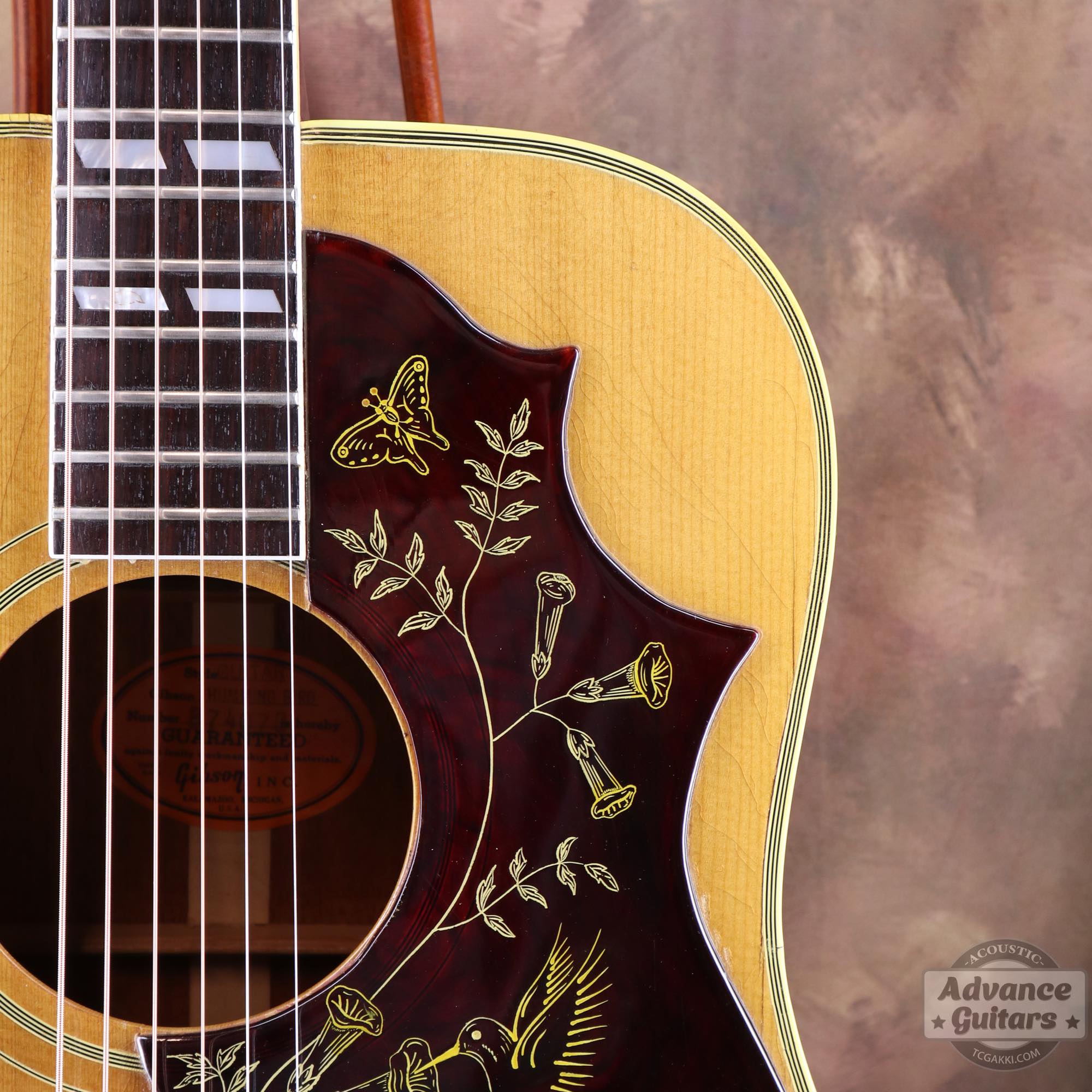 1967年製 Hummingbird Natural - TC楽器 - TCGAKKI