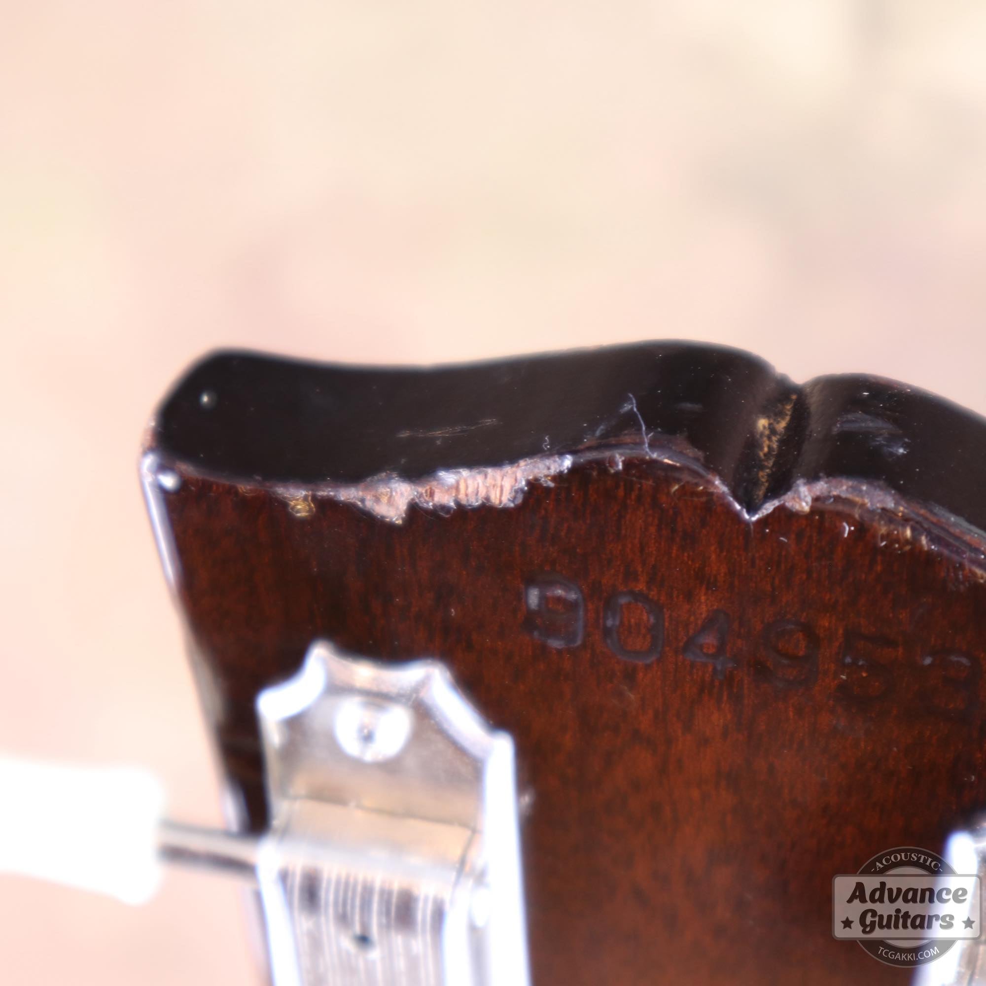 1968年製 B - 25 - TC楽器 - TCGAKKI