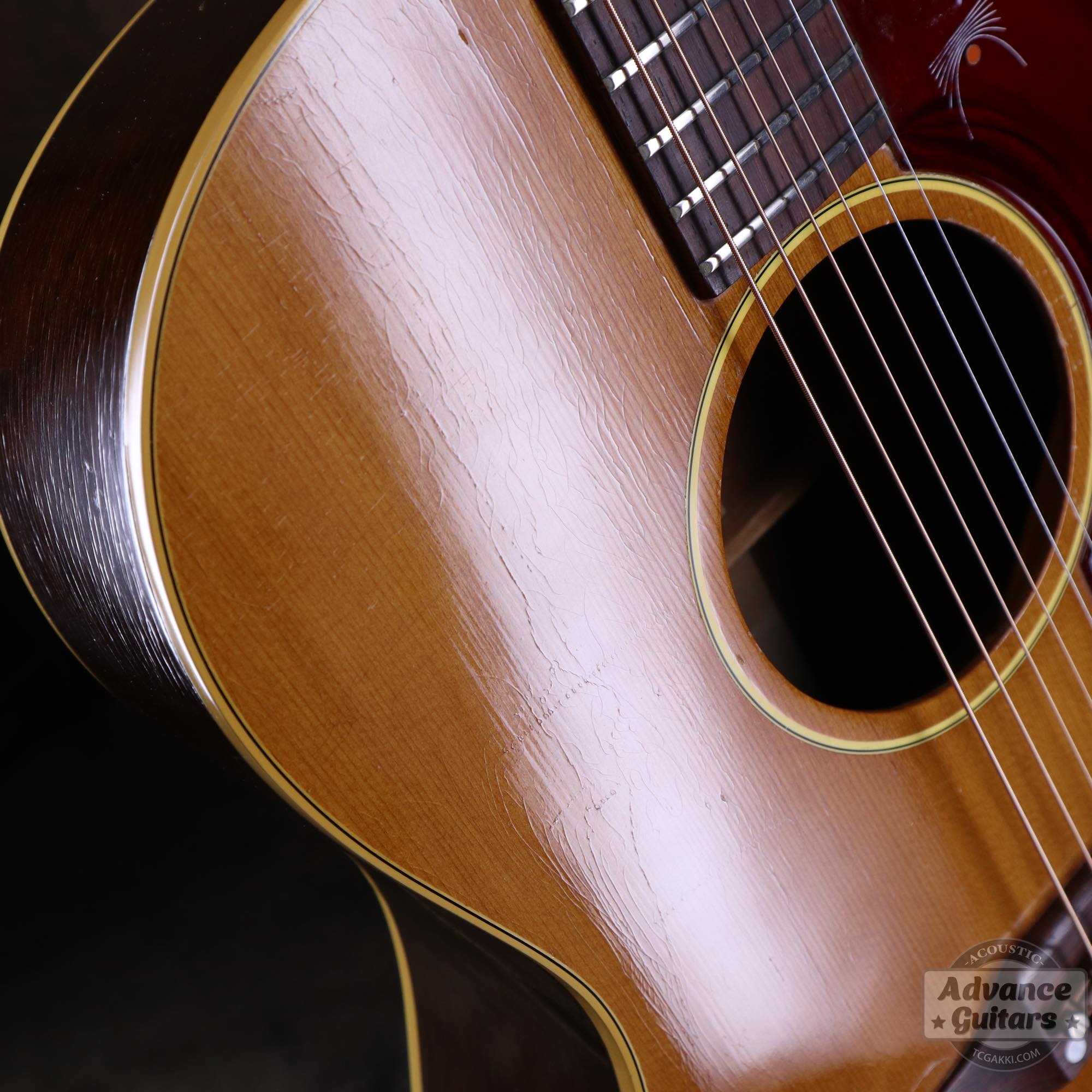 1968年製 B - 25N - TC楽器 - TCGAKKI