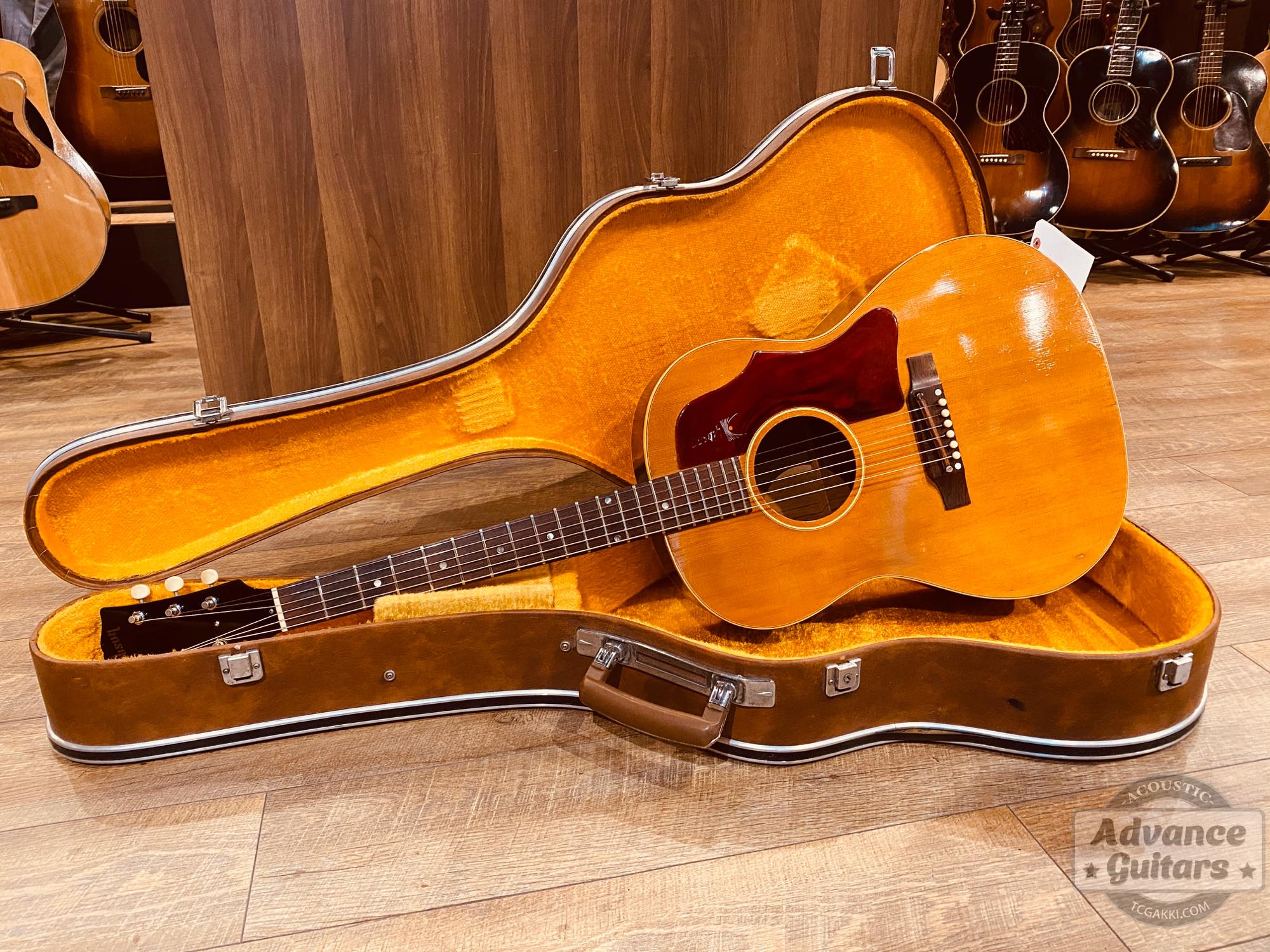 1968年製 B - 25N - TC楽器 - TCGAKKI