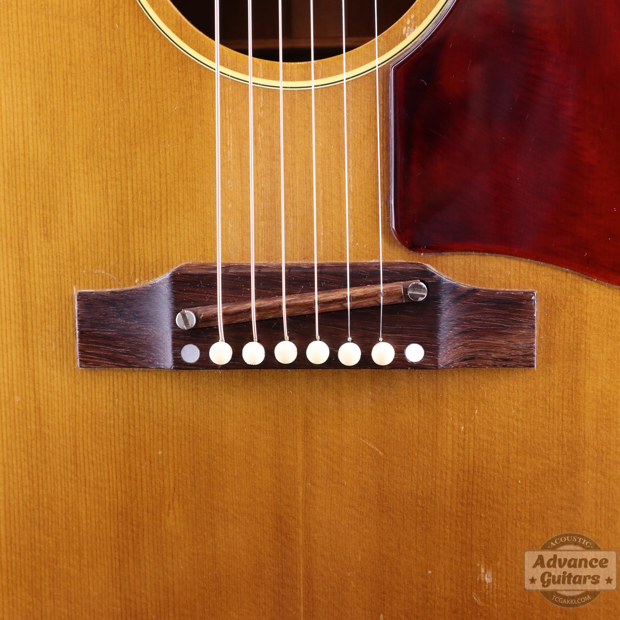 1968年製 B - 25N - TC楽器 - TCGAKKI