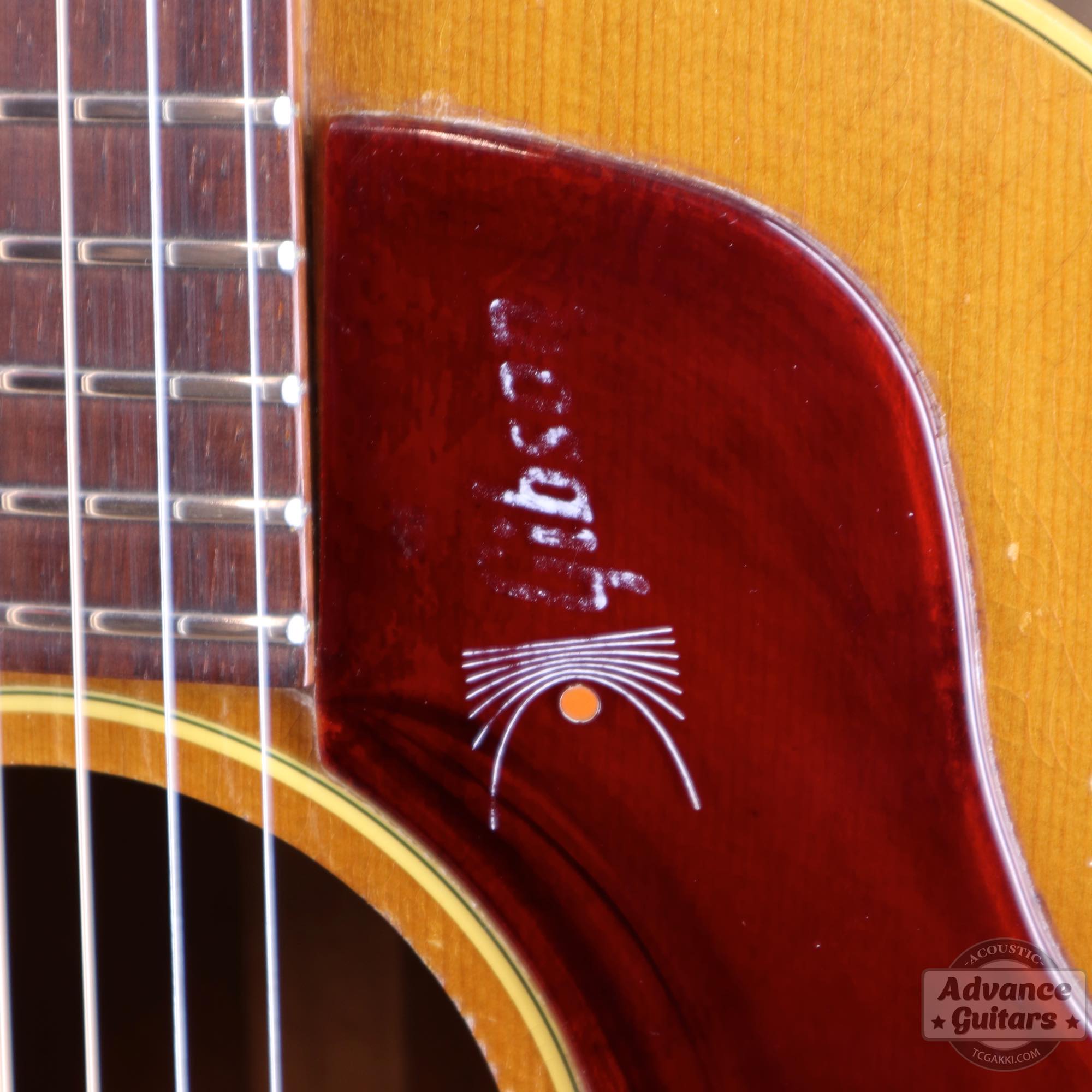 1968年製 B - 25N - TC楽器 - TCGAKKI