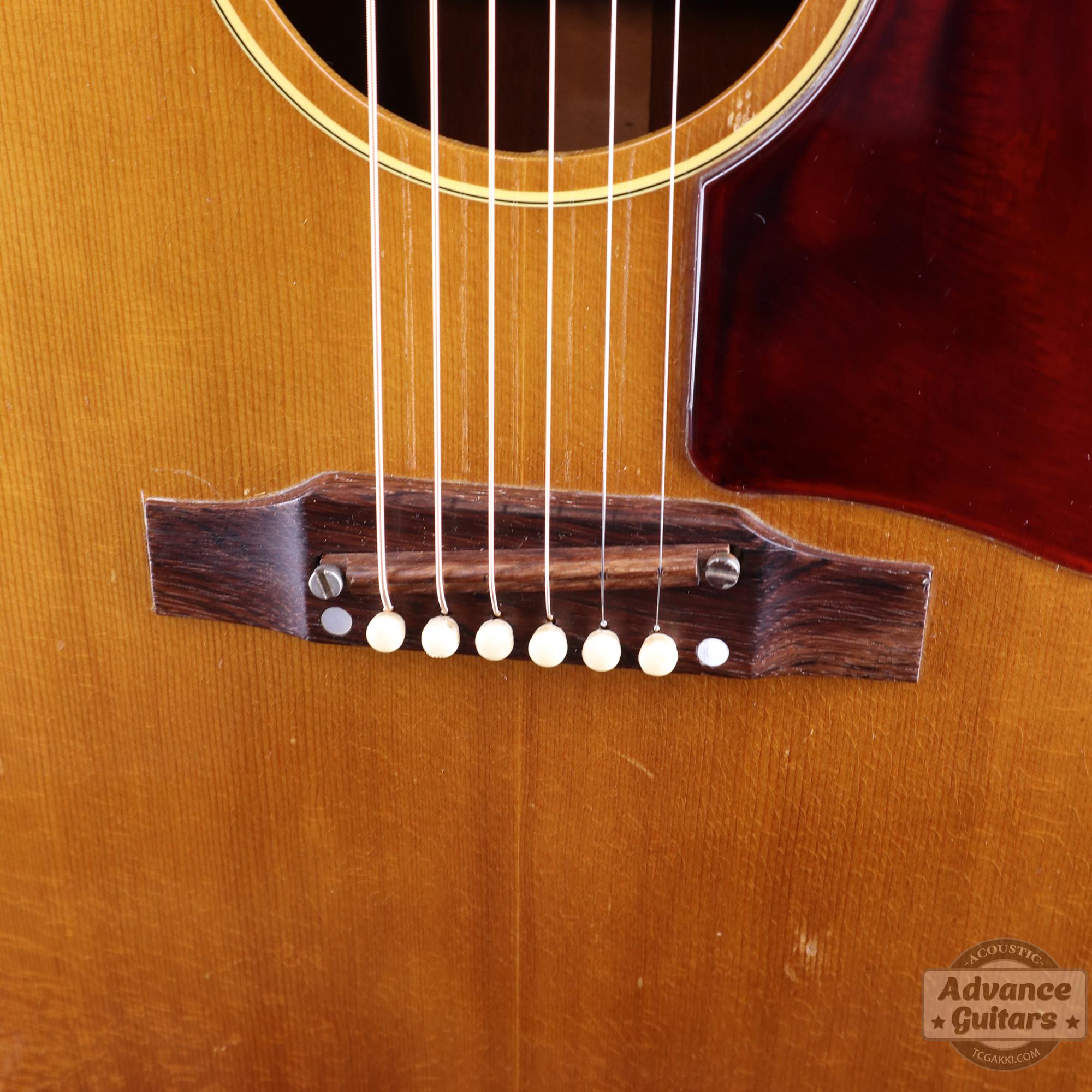 1968年製 B - 25N - TC楽器 - TCGAKKI