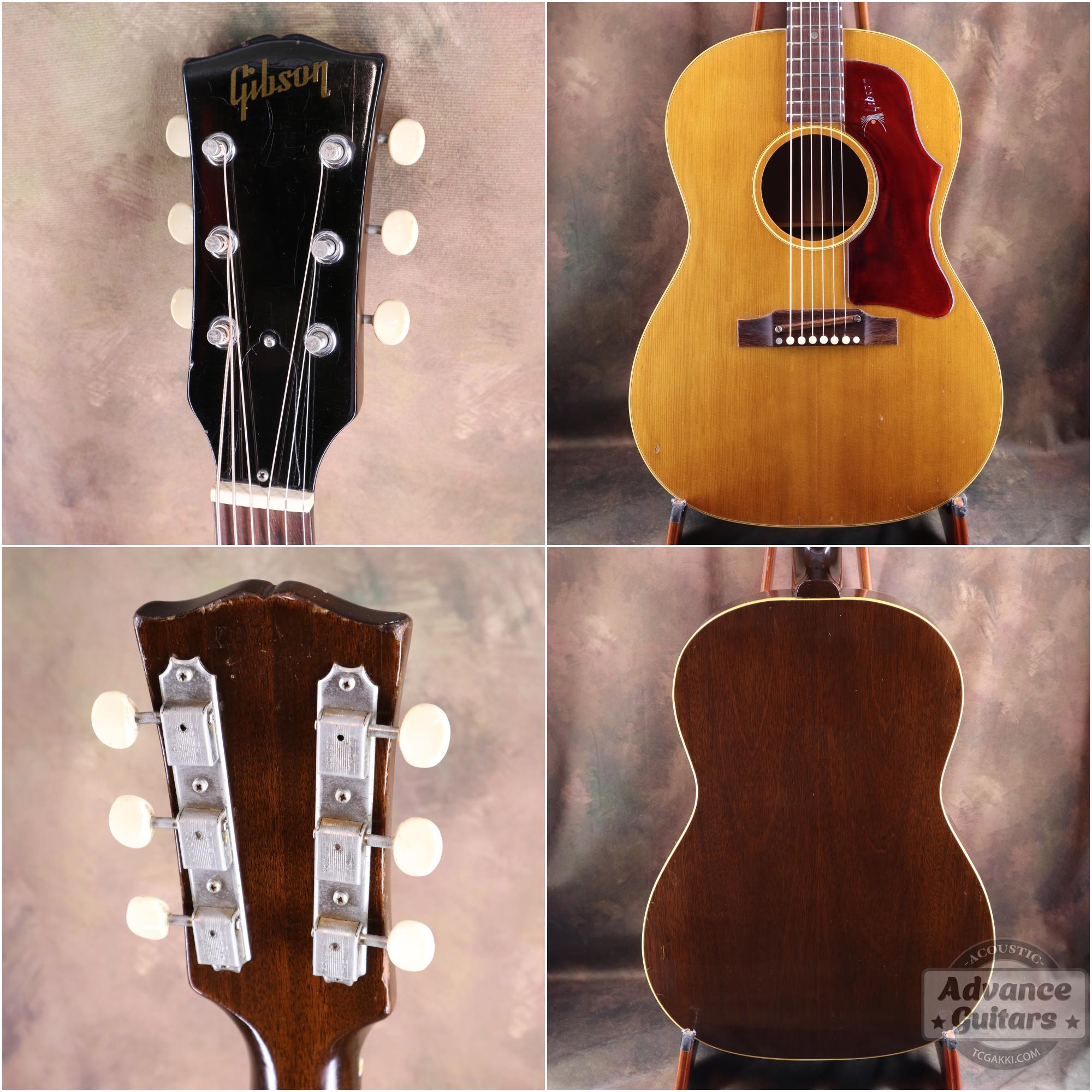 1968年製 B - 25N - TC楽器 - TCGAKKI