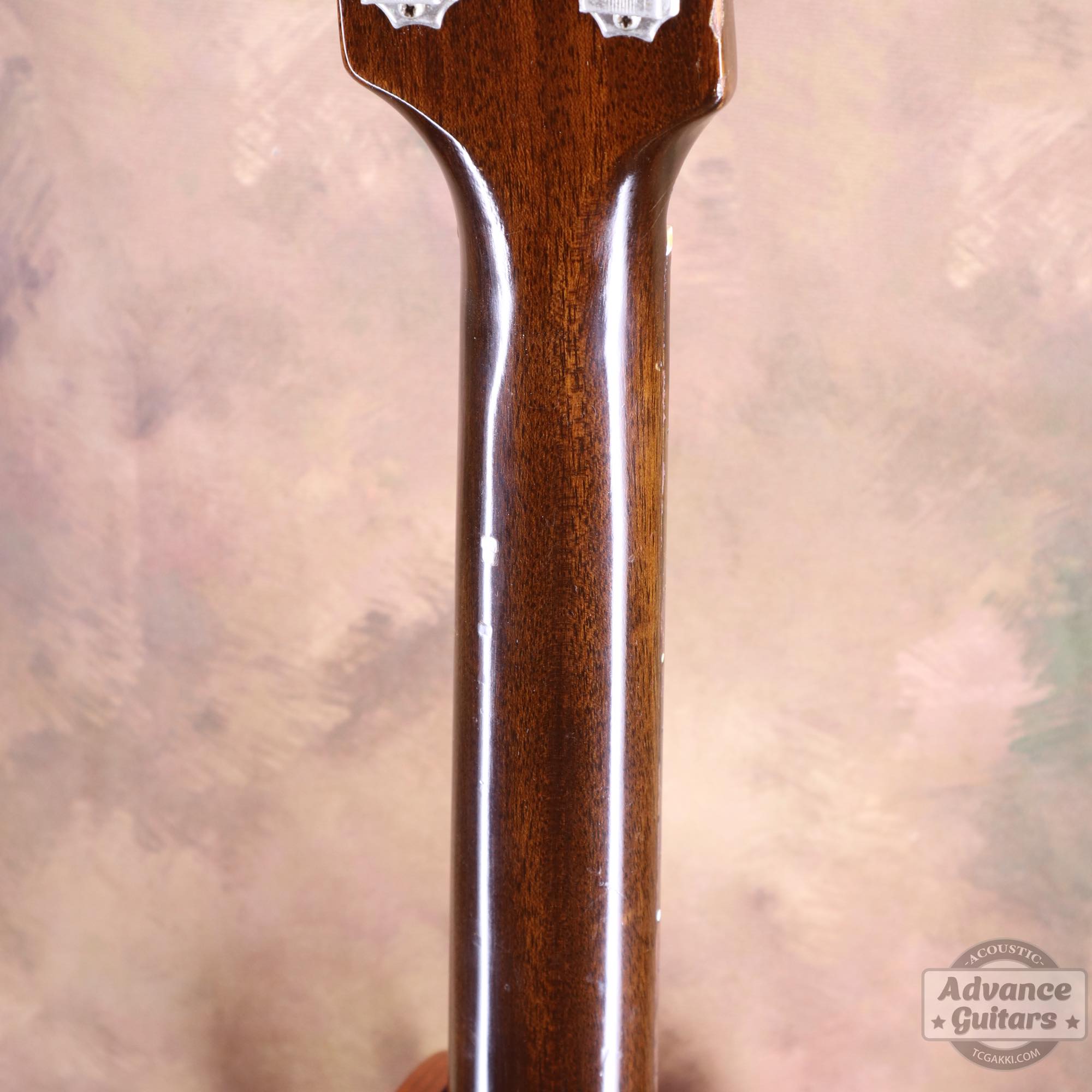 1968年製 B - 25N - TC楽器 - TCGAKKI