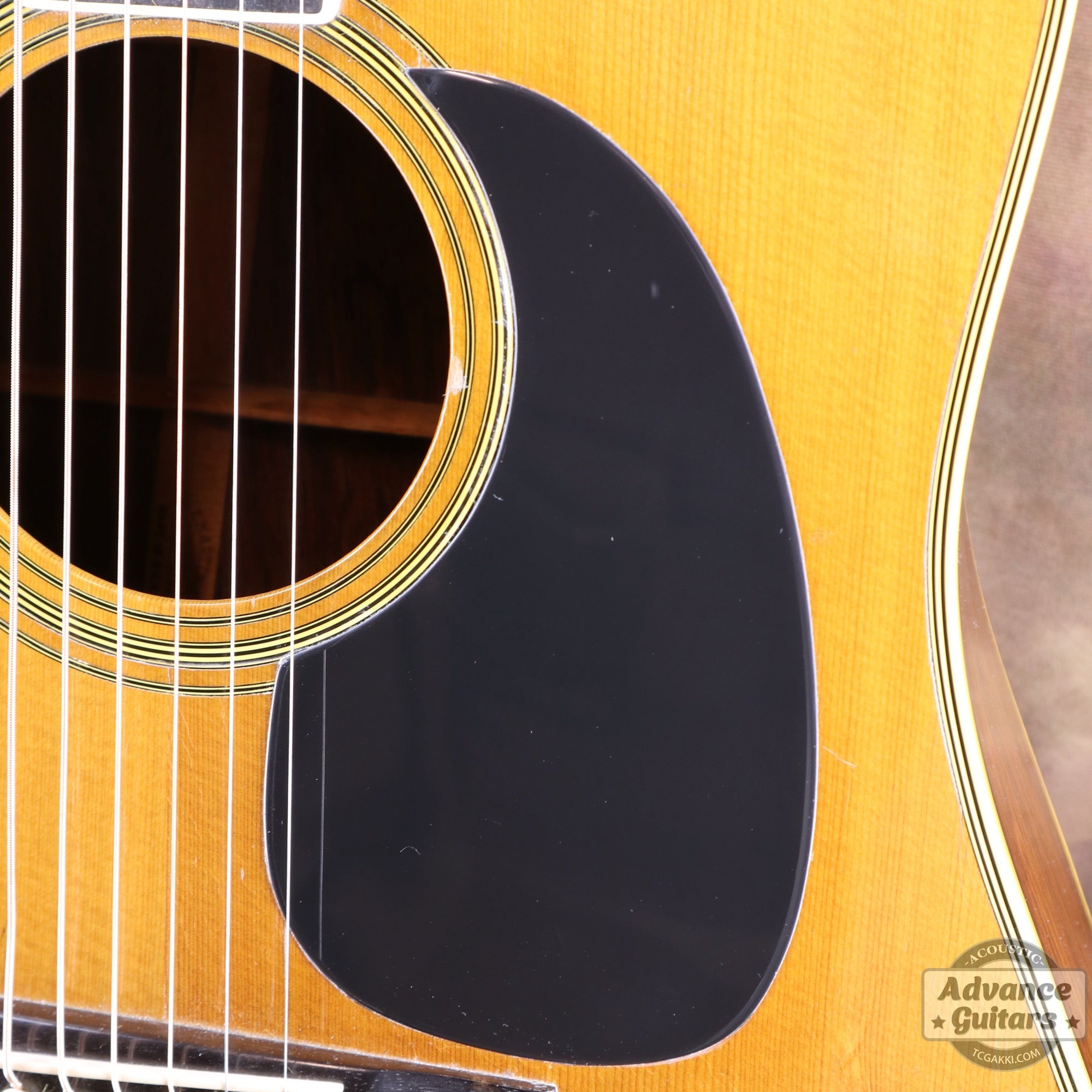 1968年製 D - 35 - TC楽器 - TCGAKKI