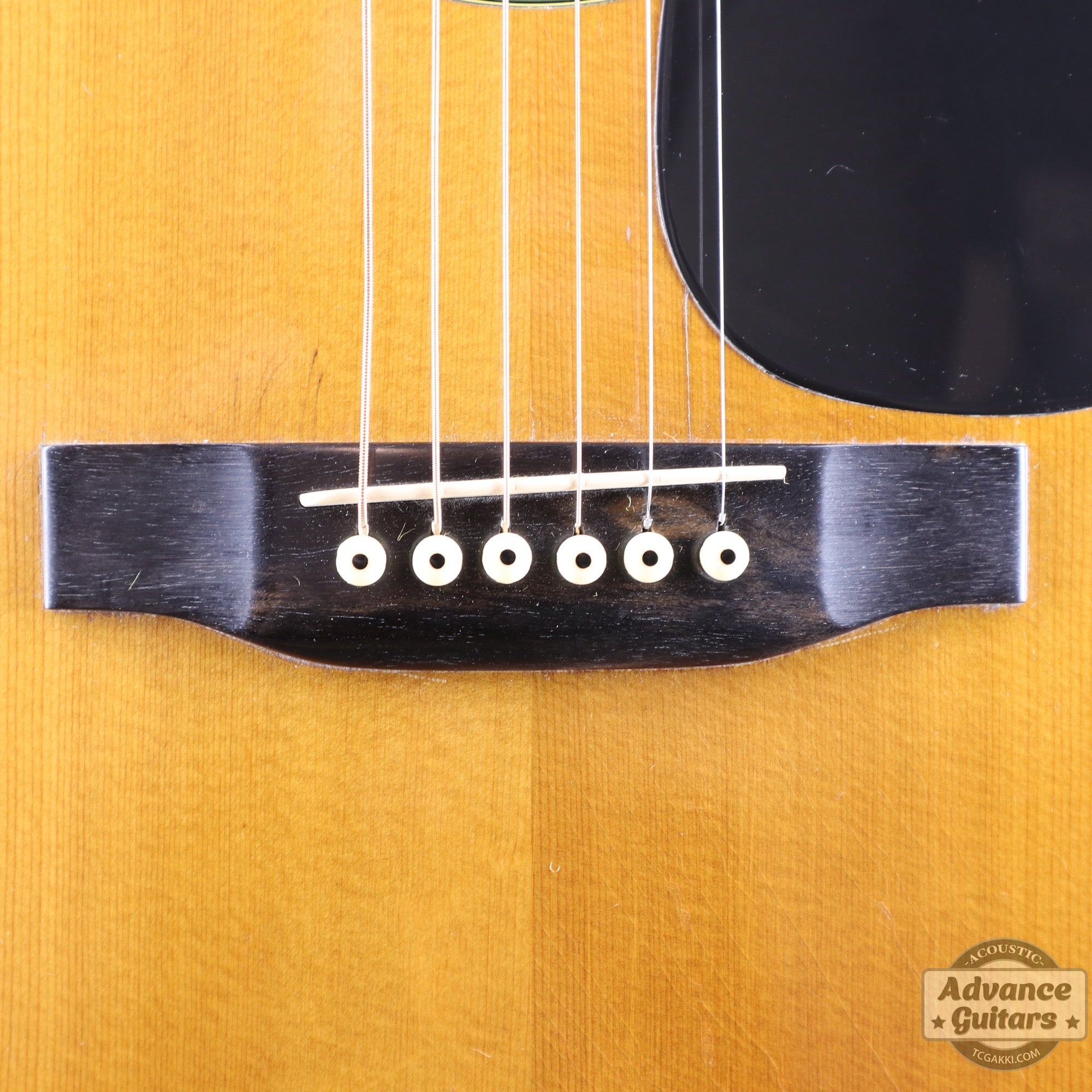 1968年製 D - 35 - TC楽器 - TCGAKKI