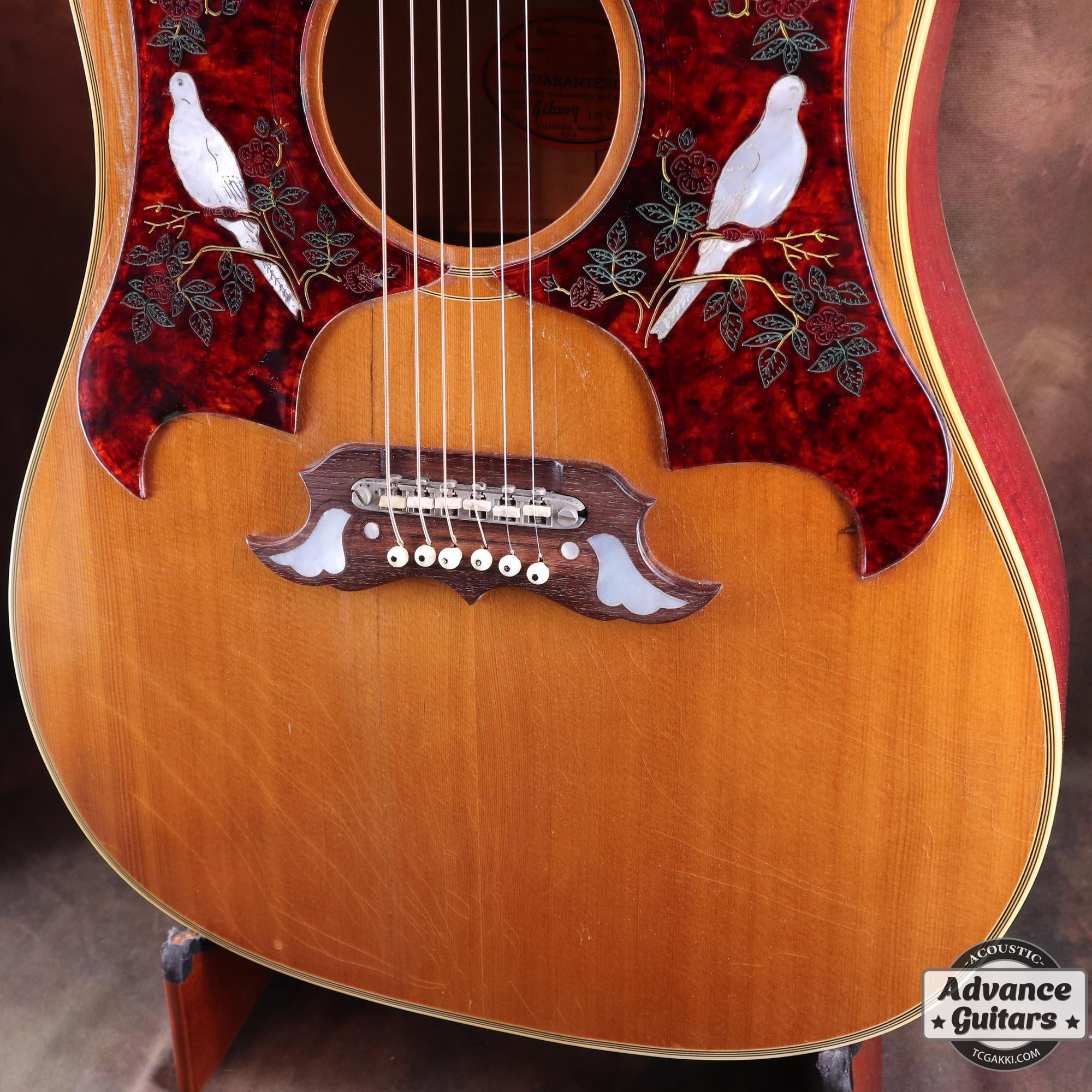 1968年製 Dove Double Pickguard