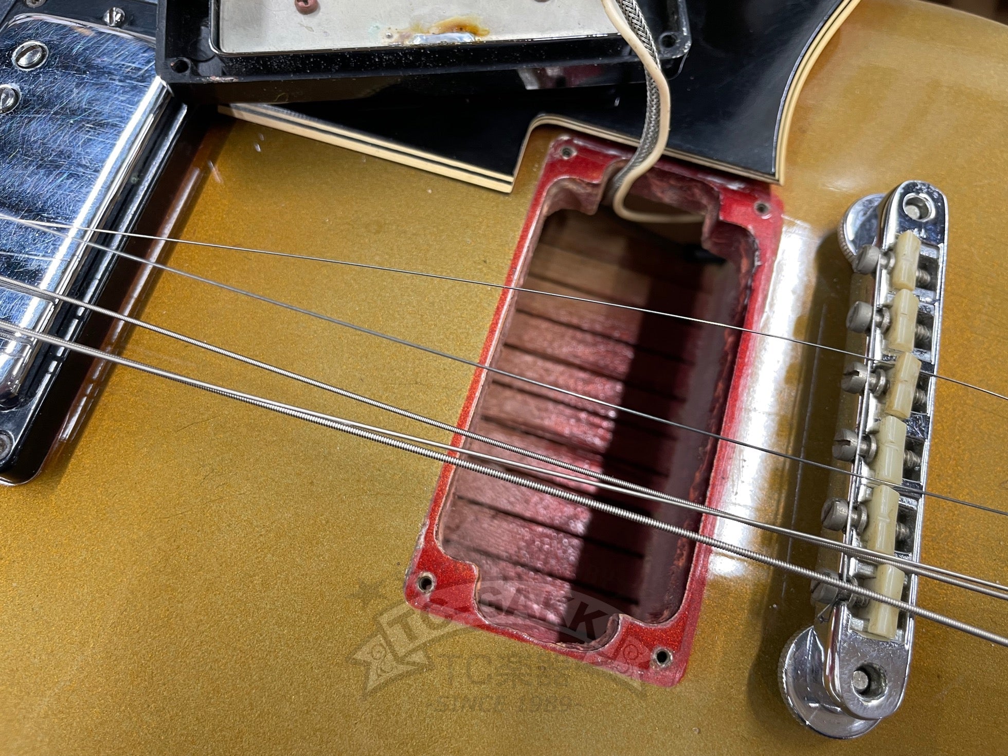 1968 ES - 335TD - TC楽器 - TCGAKKI