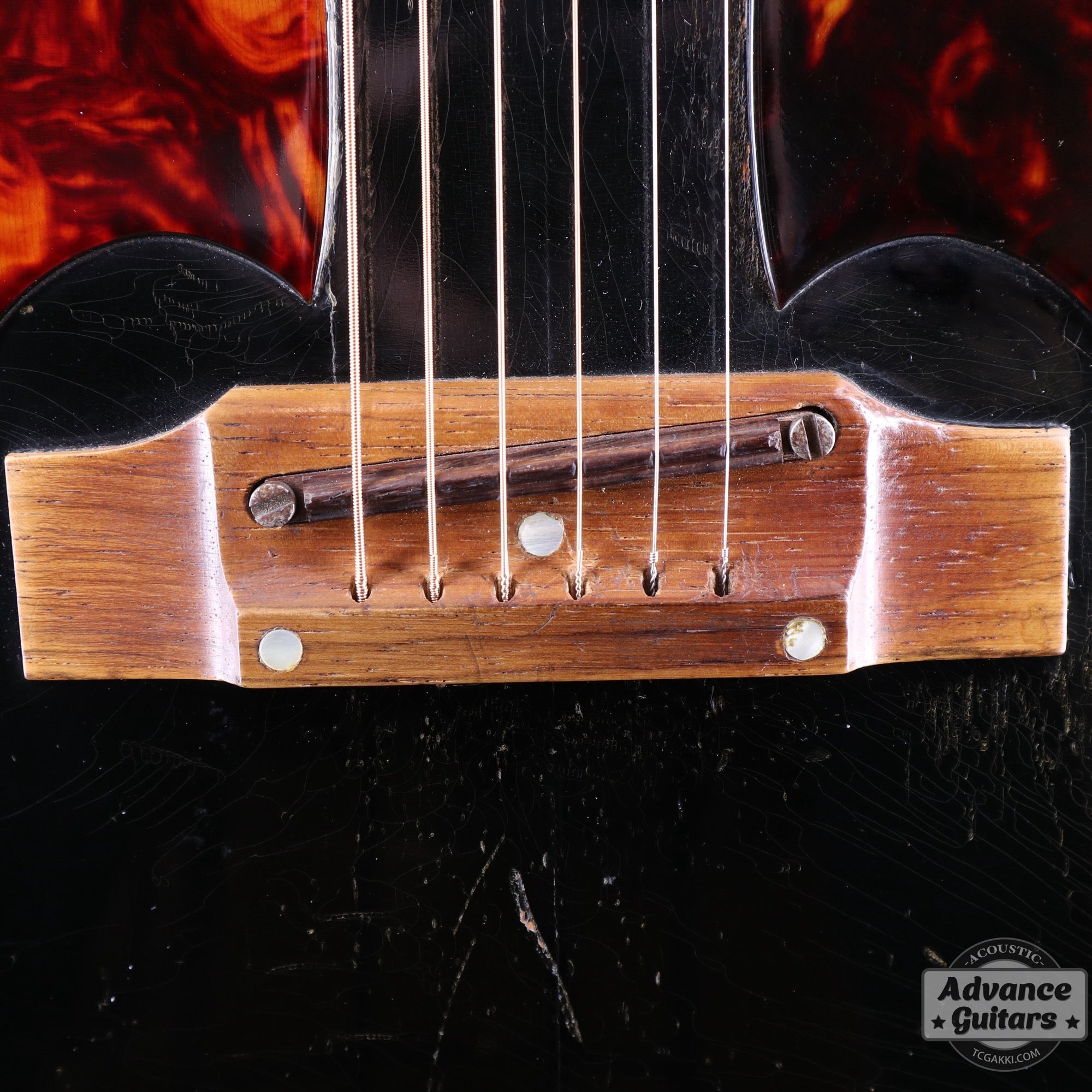 1968年製 Everly Brothers - TC楽器 - TCGAKKI