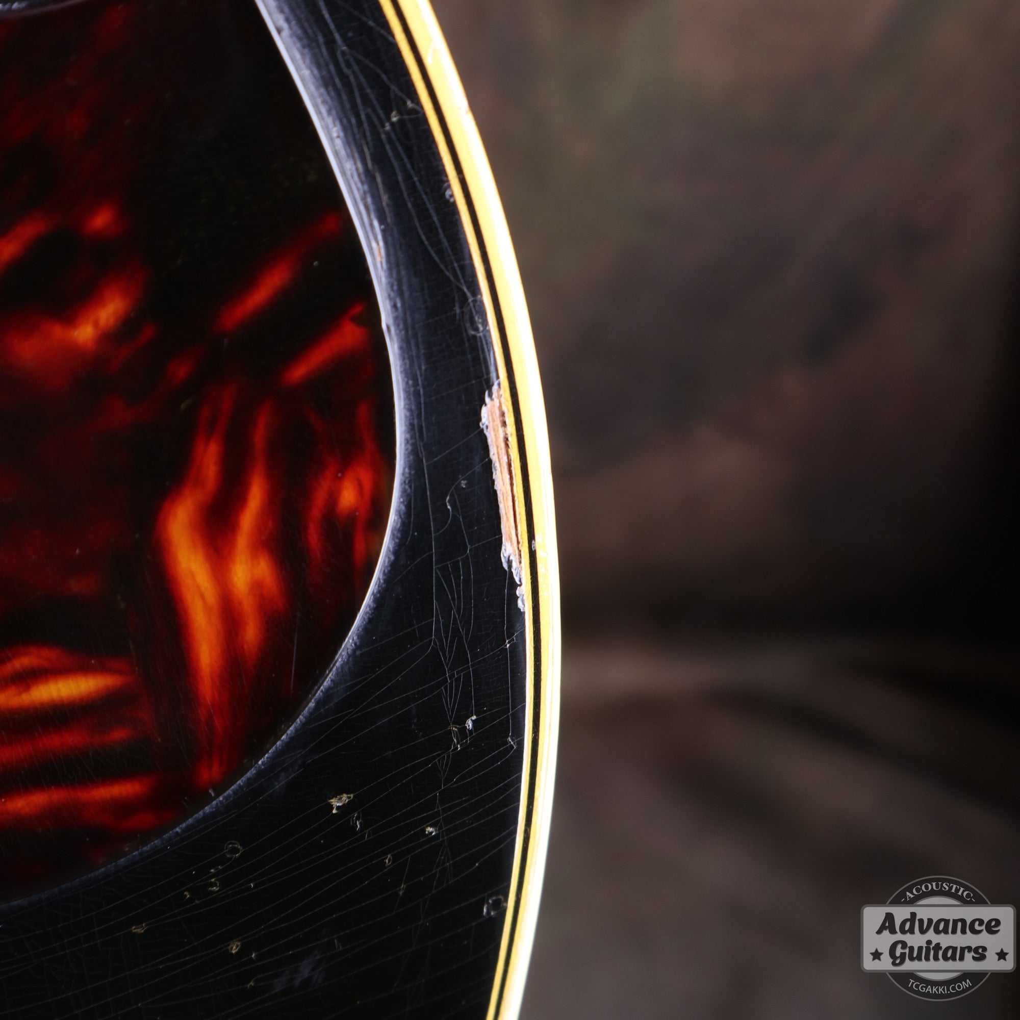 1968年製 Everly Brothers - TC楽器 - TCGAKKI