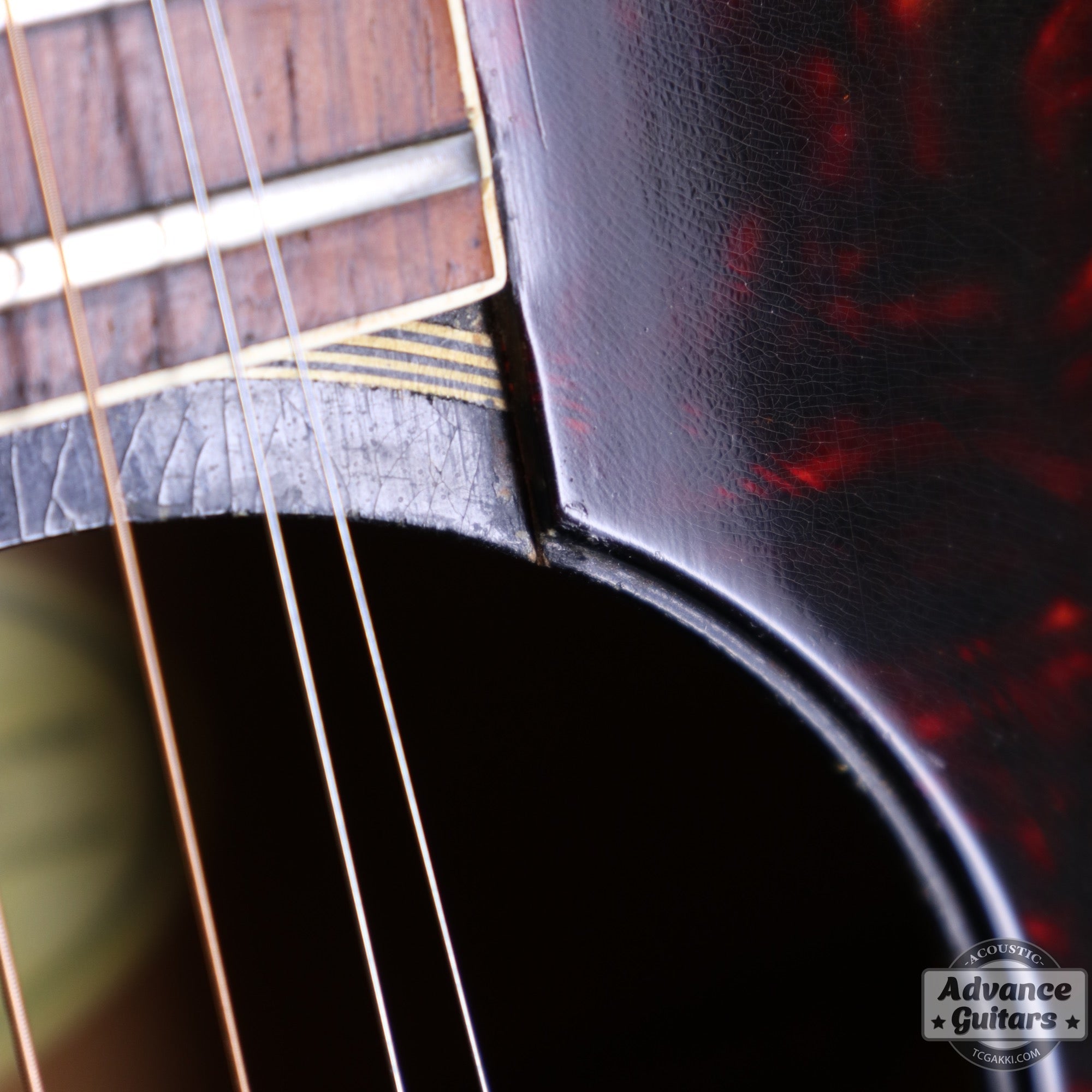 1968年製 Everly Brothers - TC楽器 - TCGAKKI