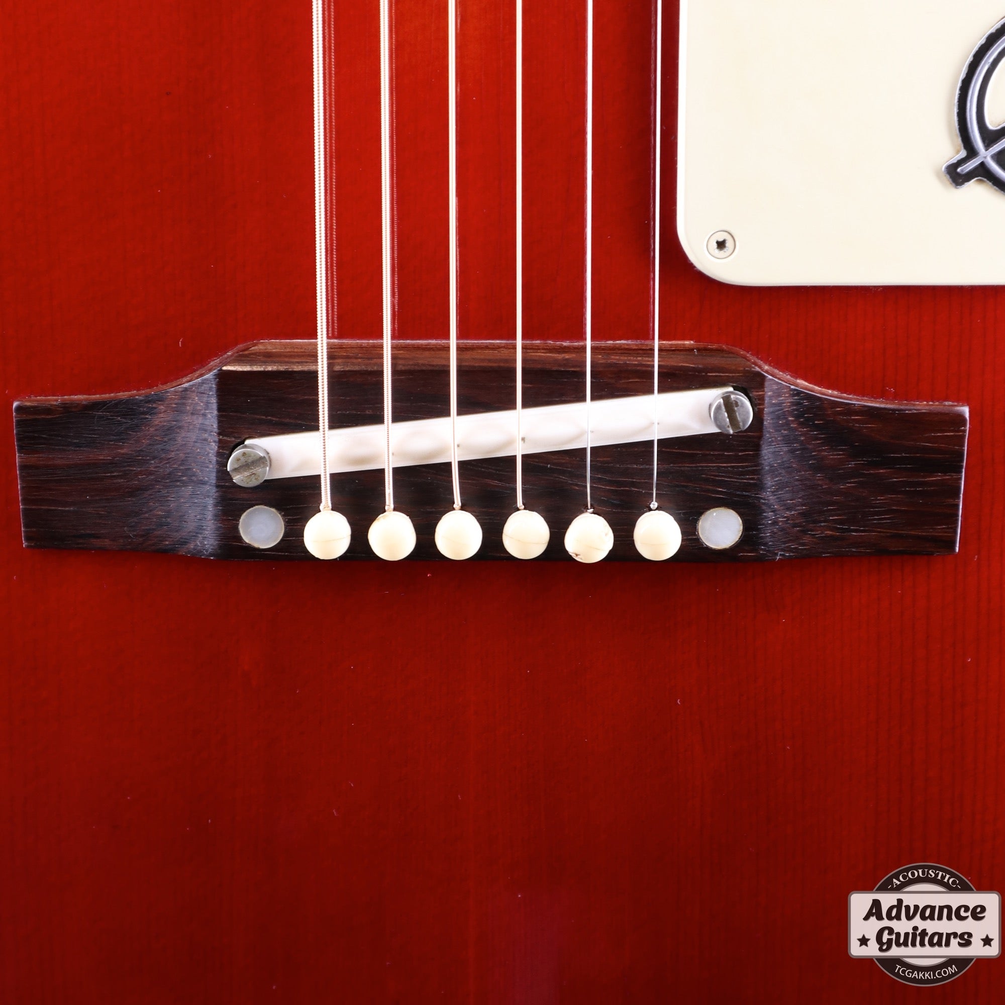 1968年製 FT - 79 Texan - TC楽器 - TCGAKKI