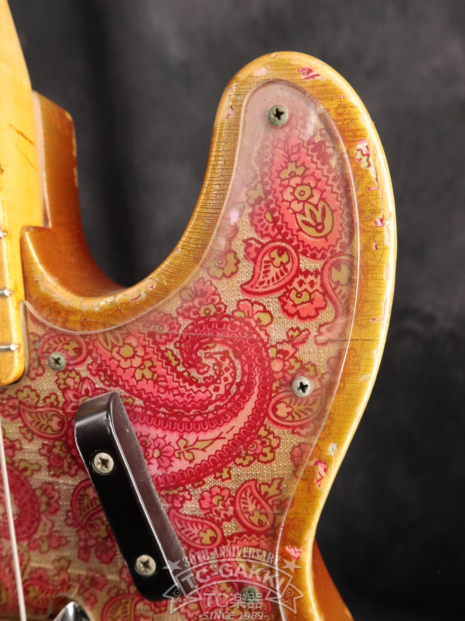 1968 Telecaster Bass “Paisley Red” - TC楽器 - TCGAKKI