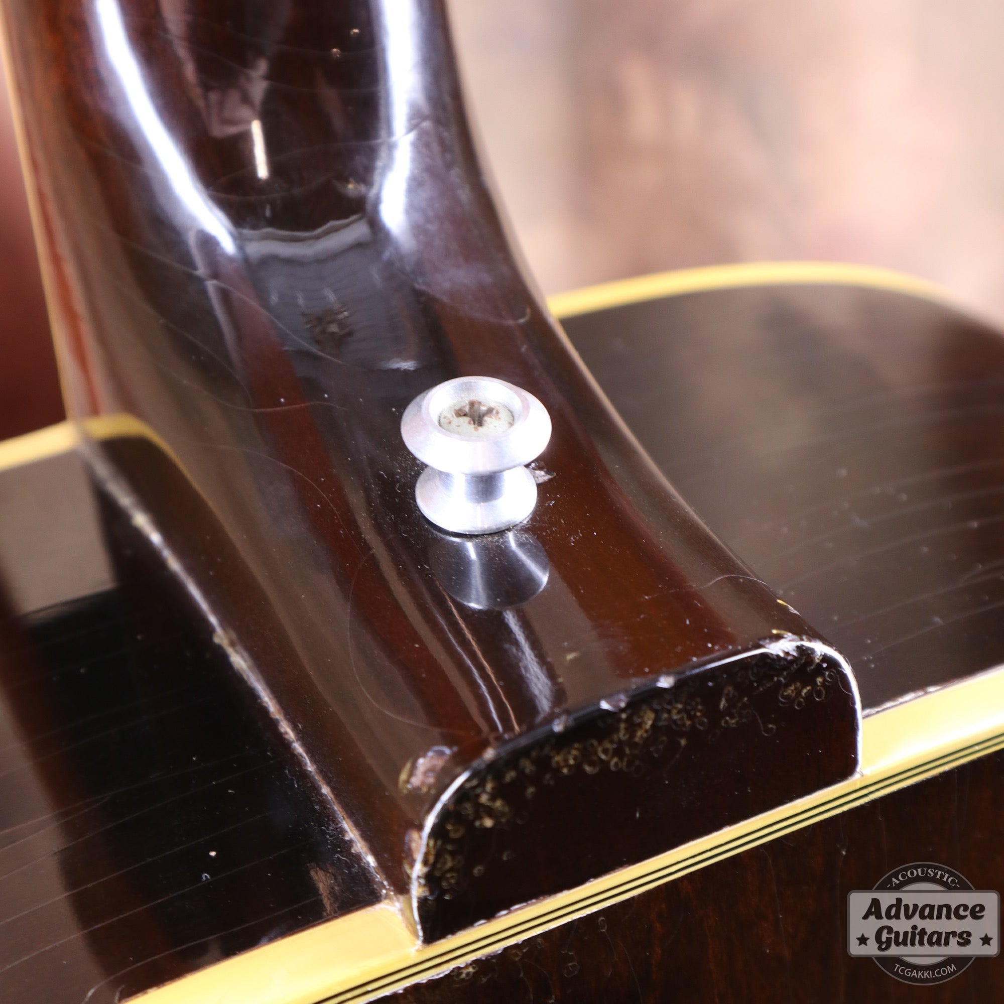 1969年製 Everly Brothers - TC楽器 - TCGAKKI