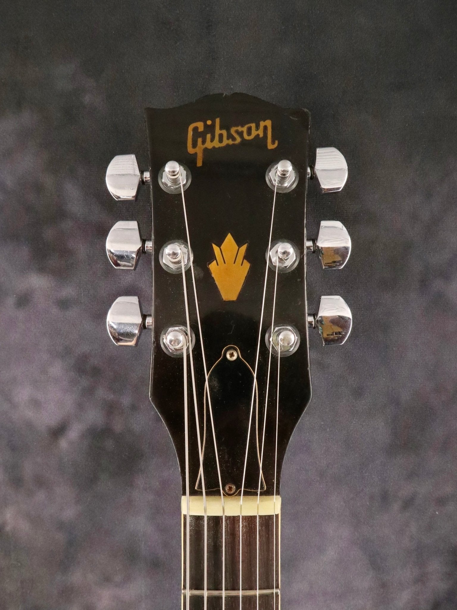 1970-1973 ES-335TD Mod. - TC楽器 - TCGAKKI