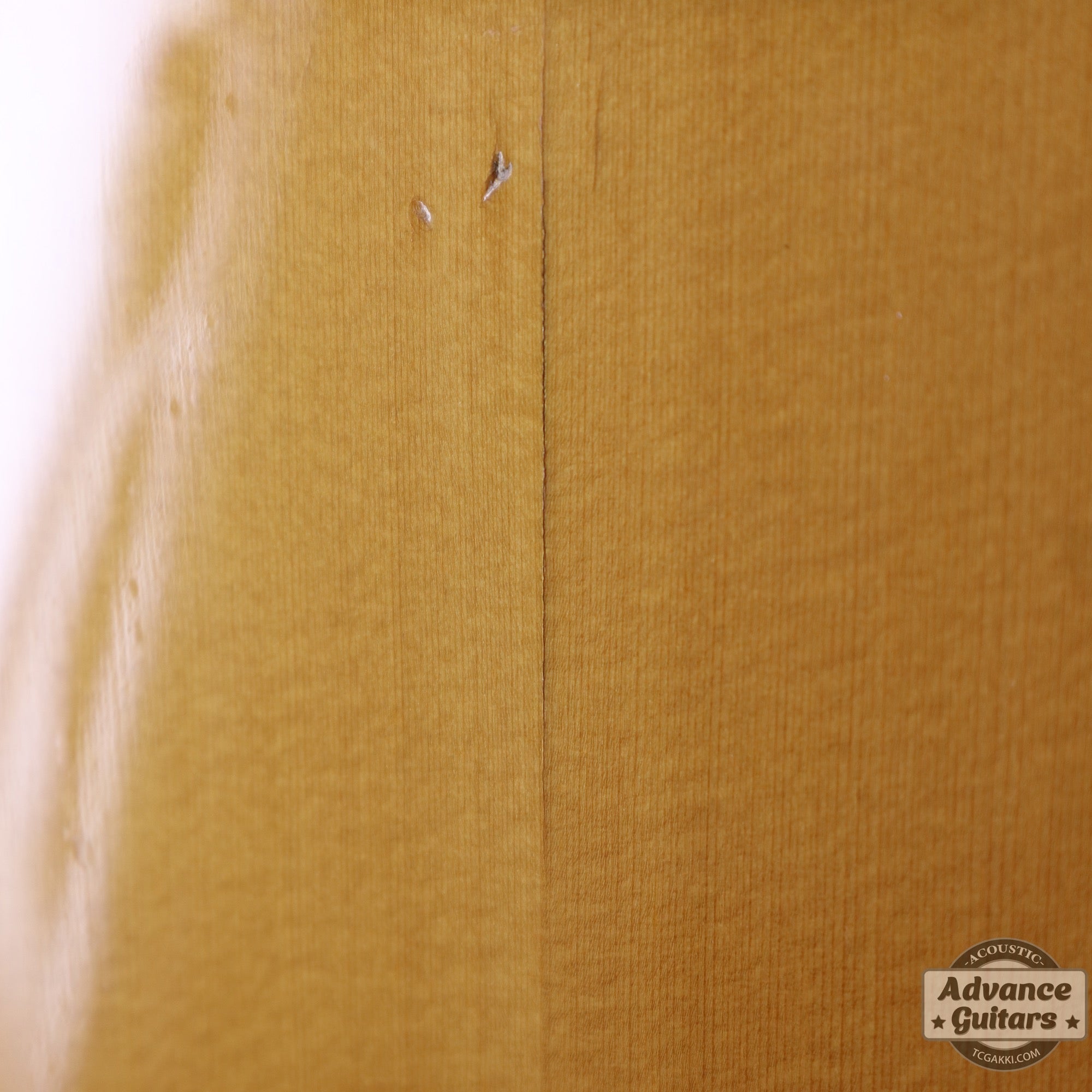 1970年製 D - 45 - TC楽器 - TCGAKKI