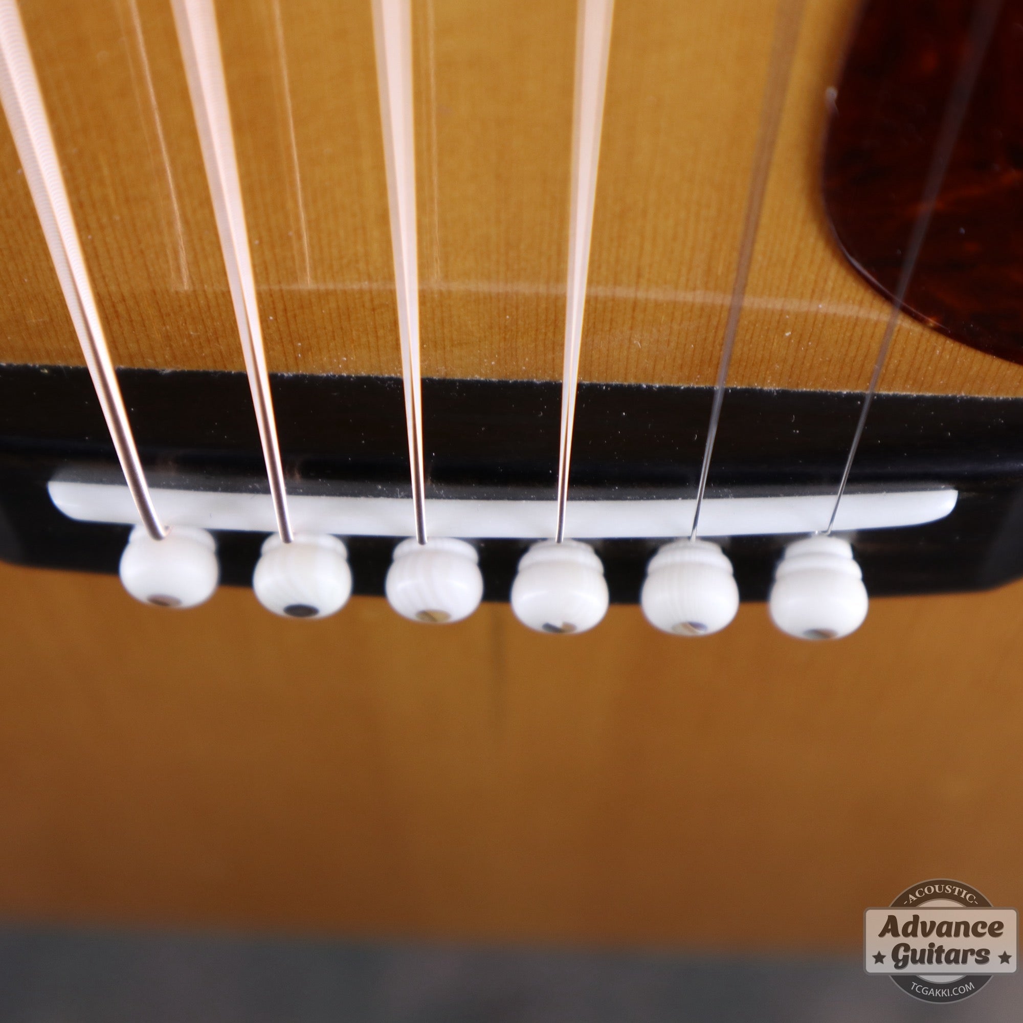 1970年製 D - 45 - TC楽器 - TCGAKKI